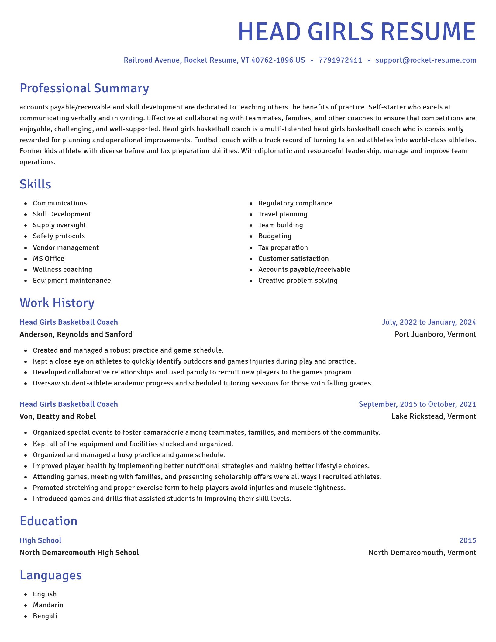 Novel resume template