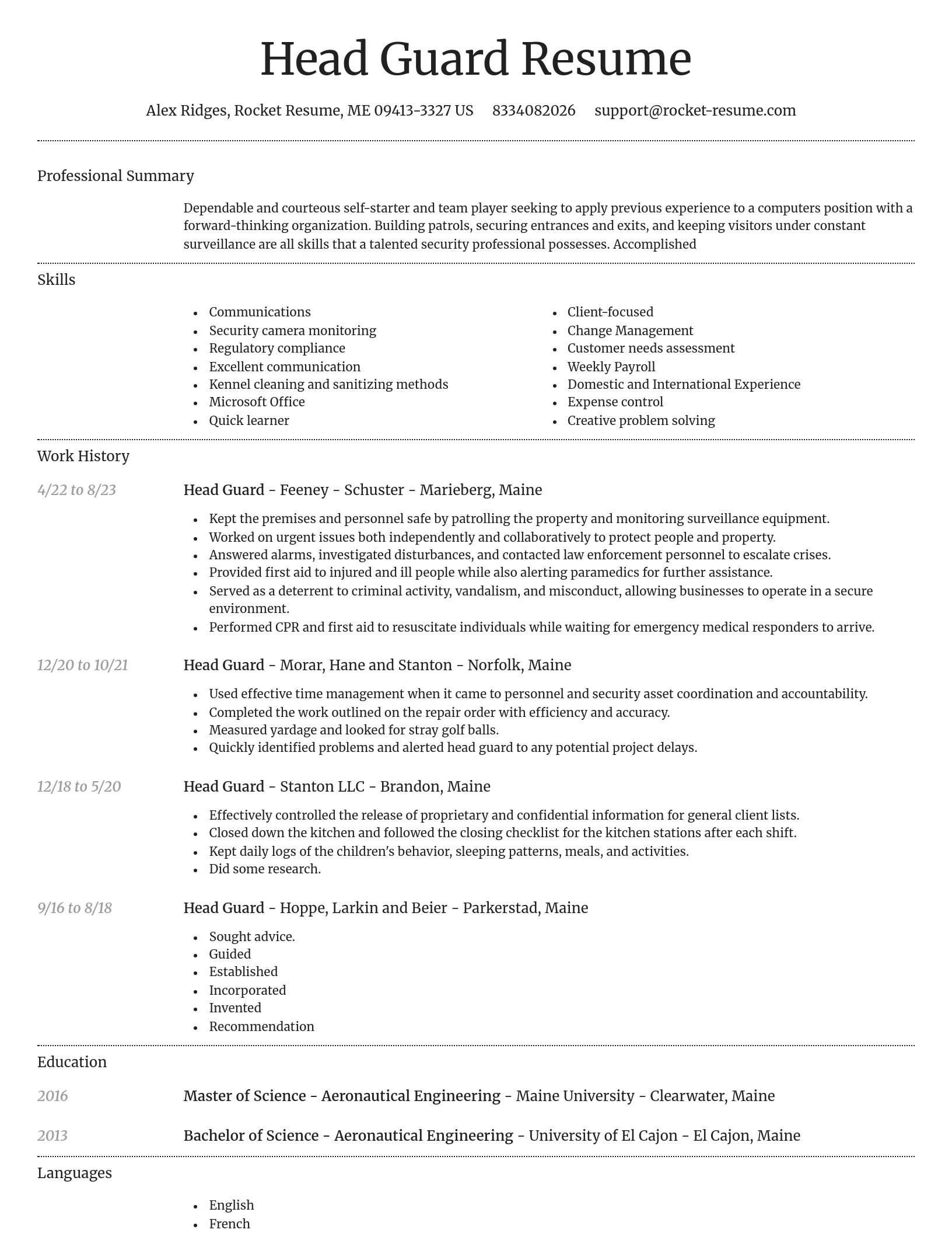 Dignified resume template