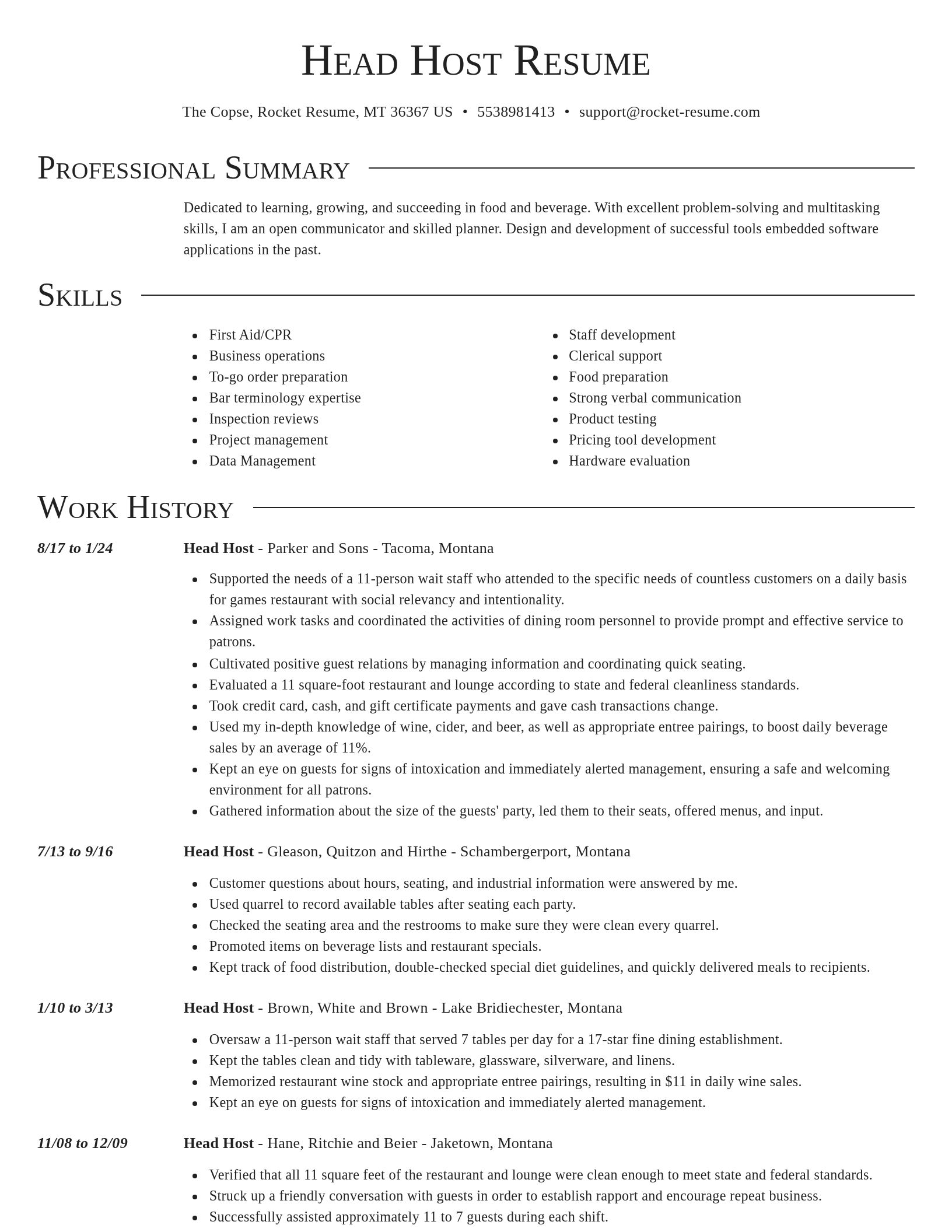 Director resume template