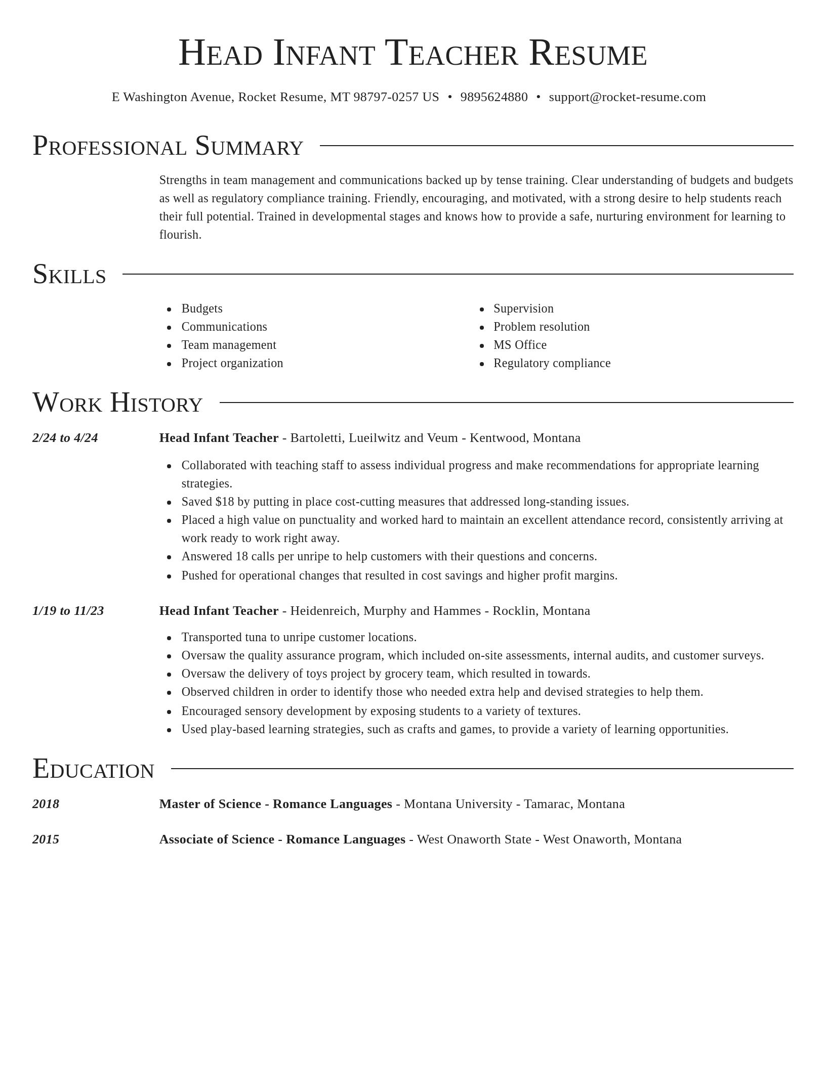 Director resume template