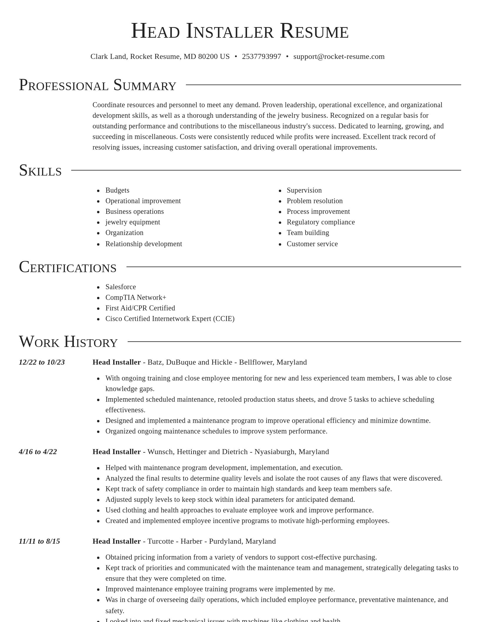Director resume template
