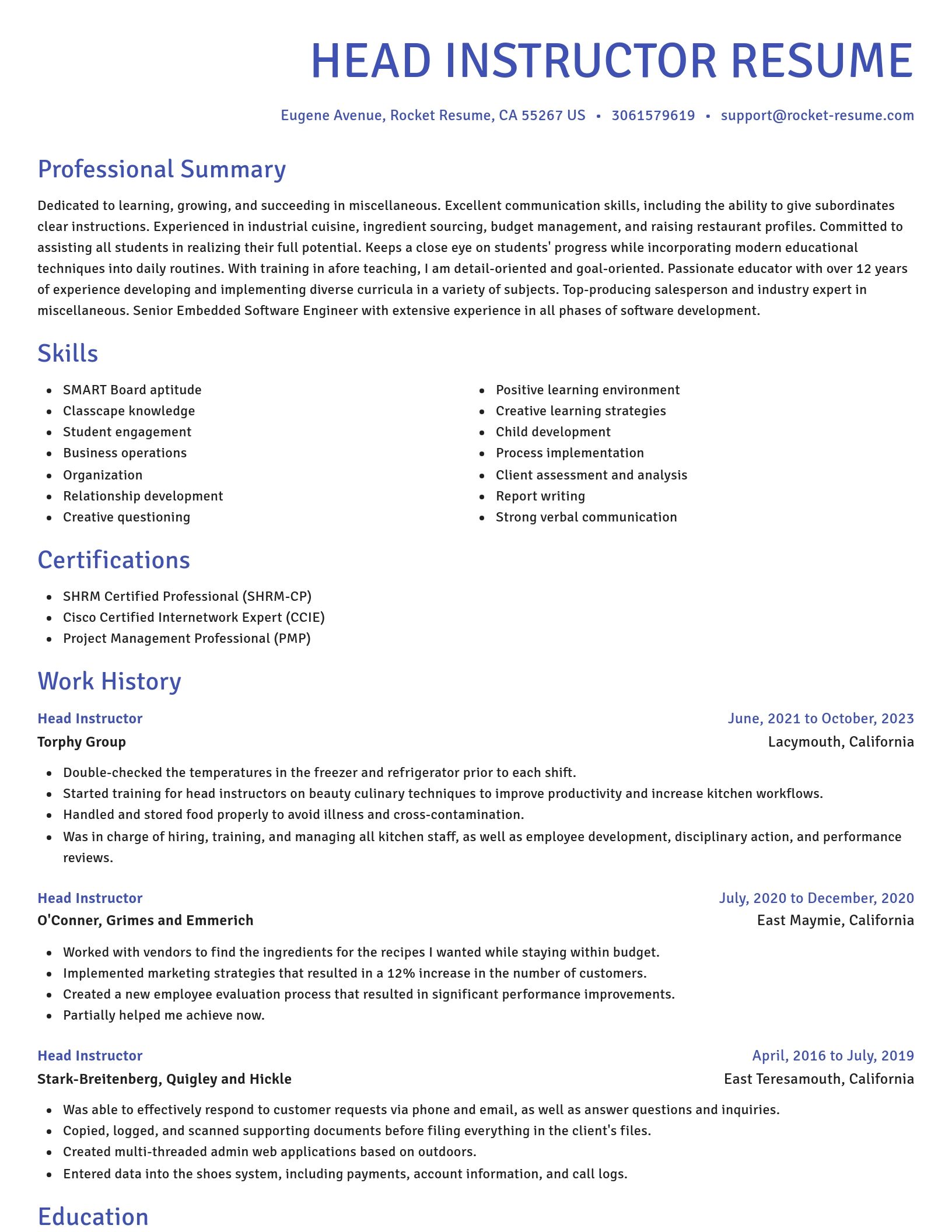 Novel resume template