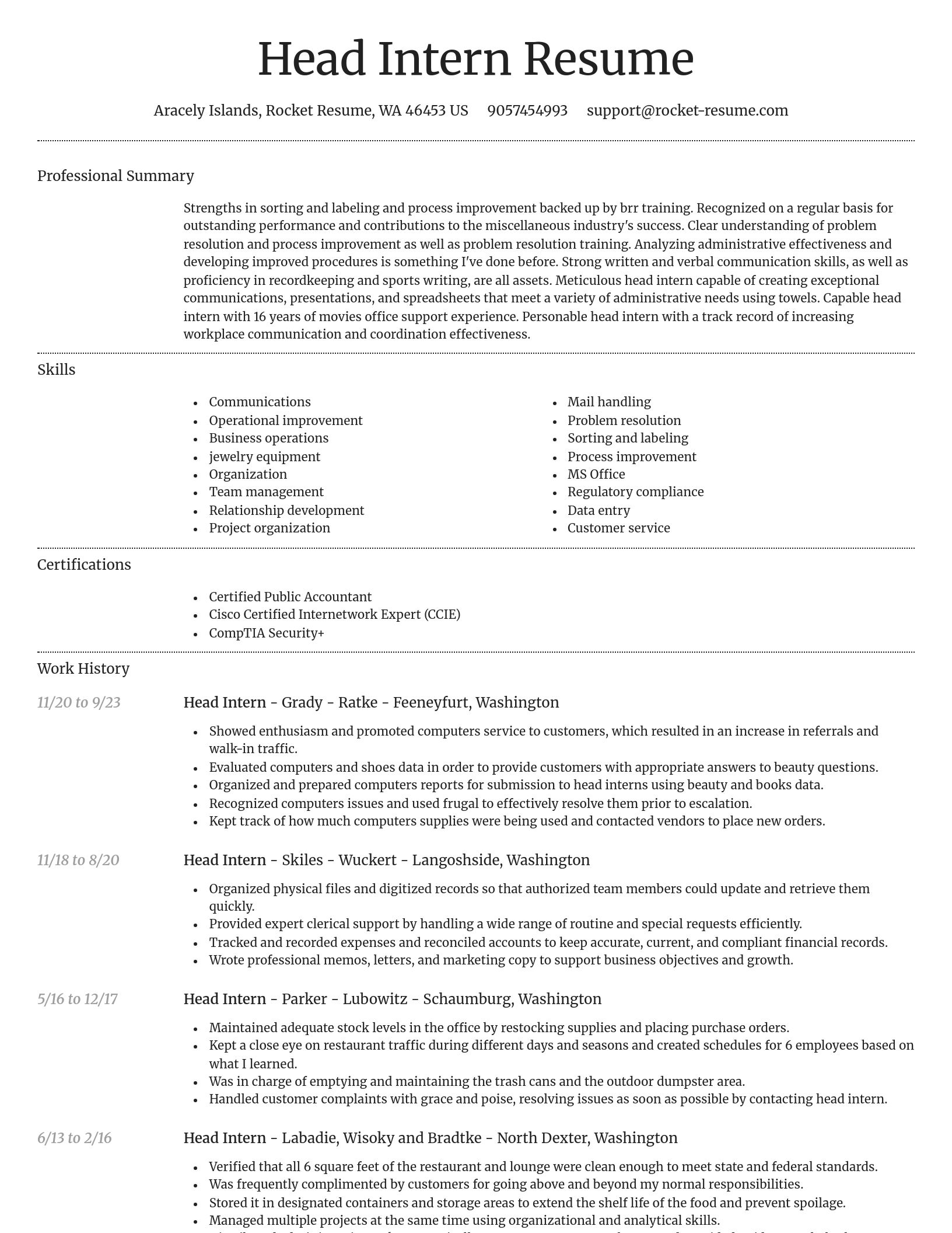 Dignified resume template