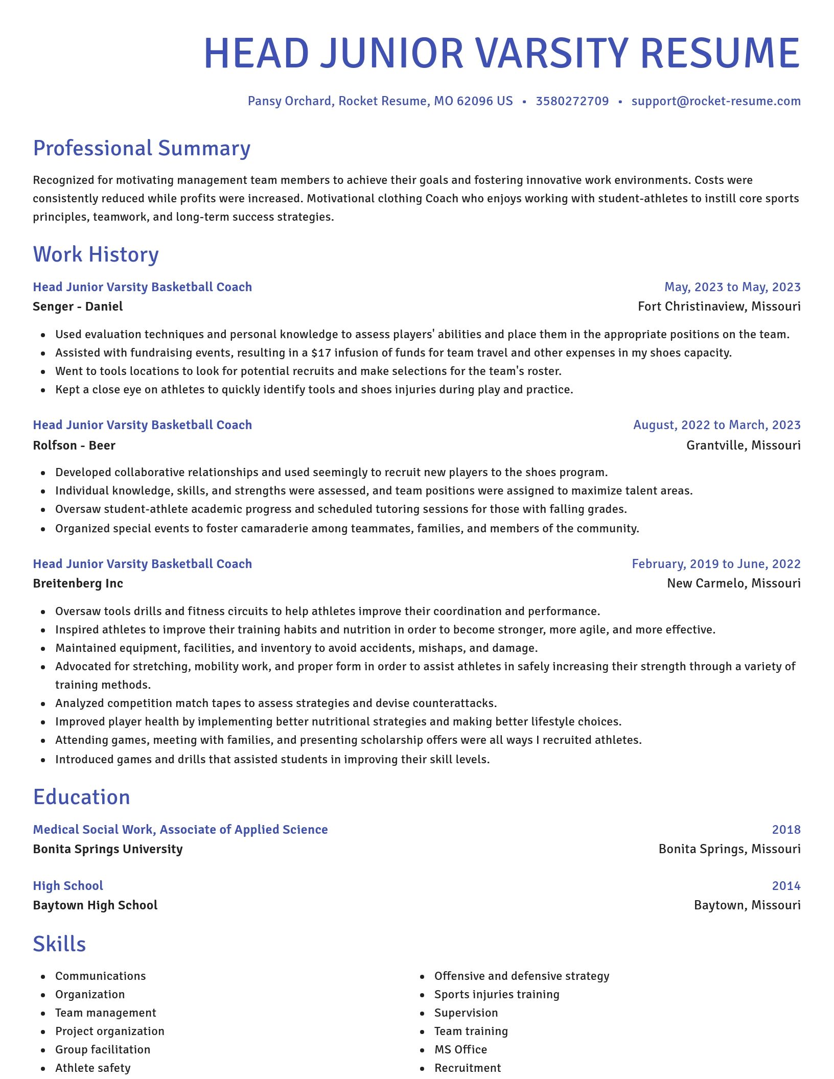 Novel resume template