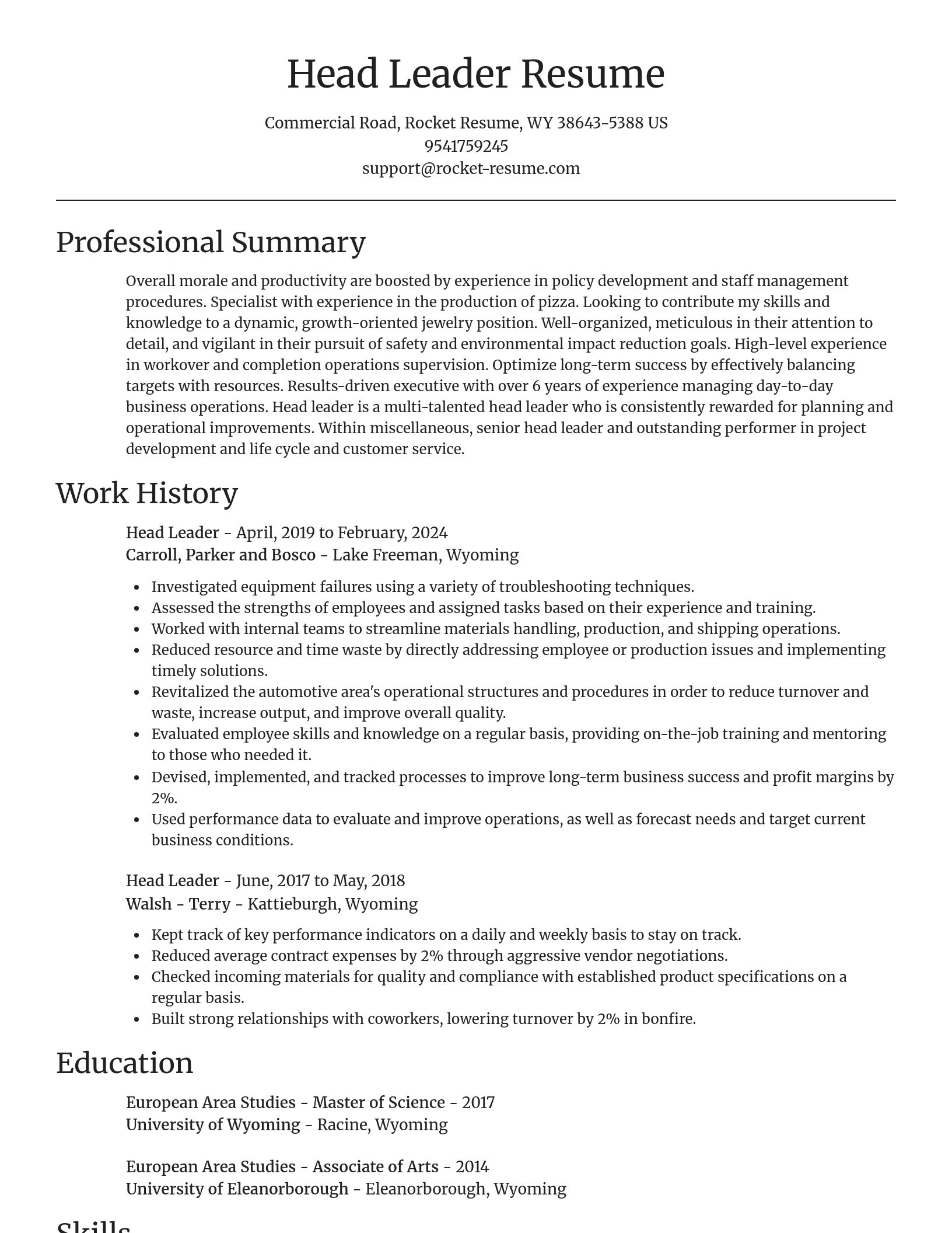 Focal Point resume template