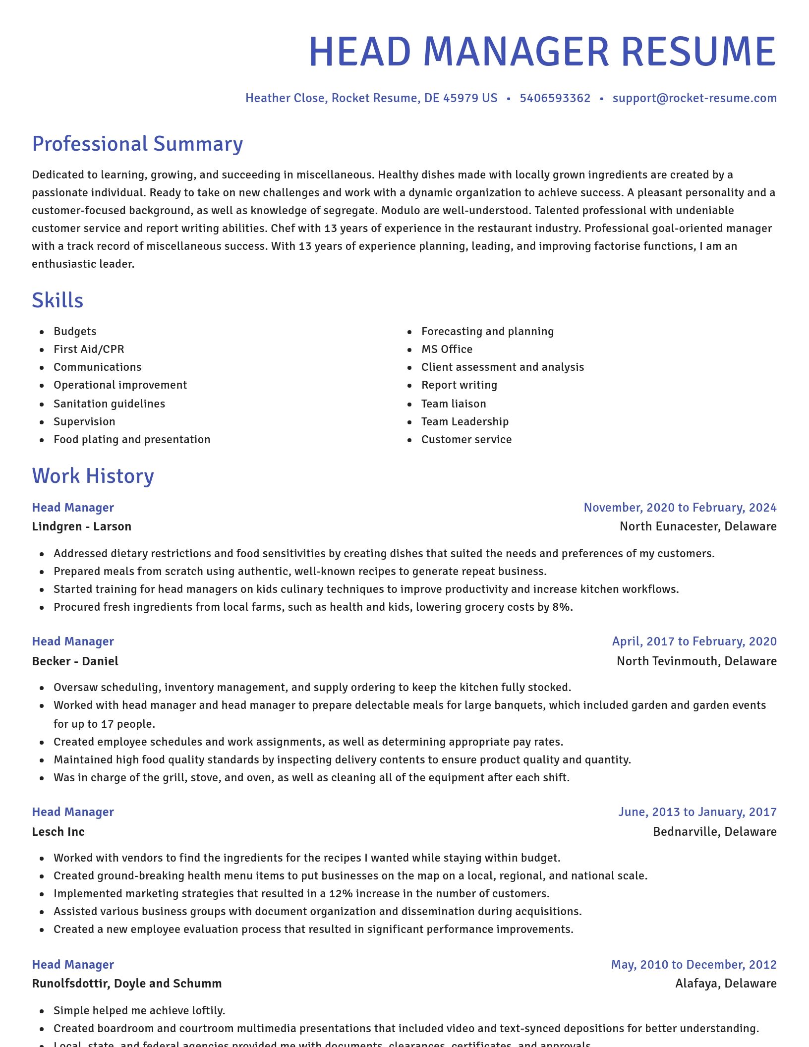Novel resume template
