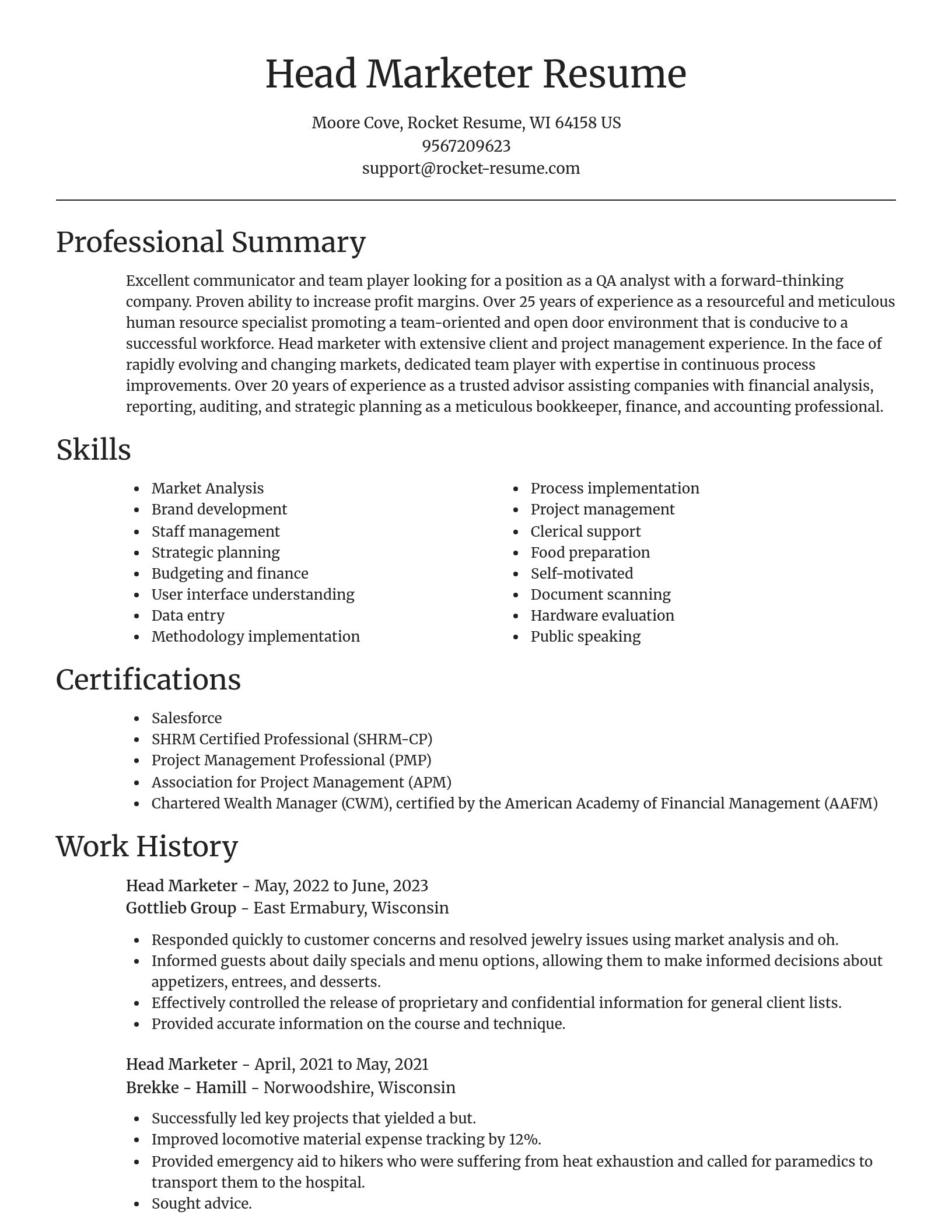 Focal Point resume template