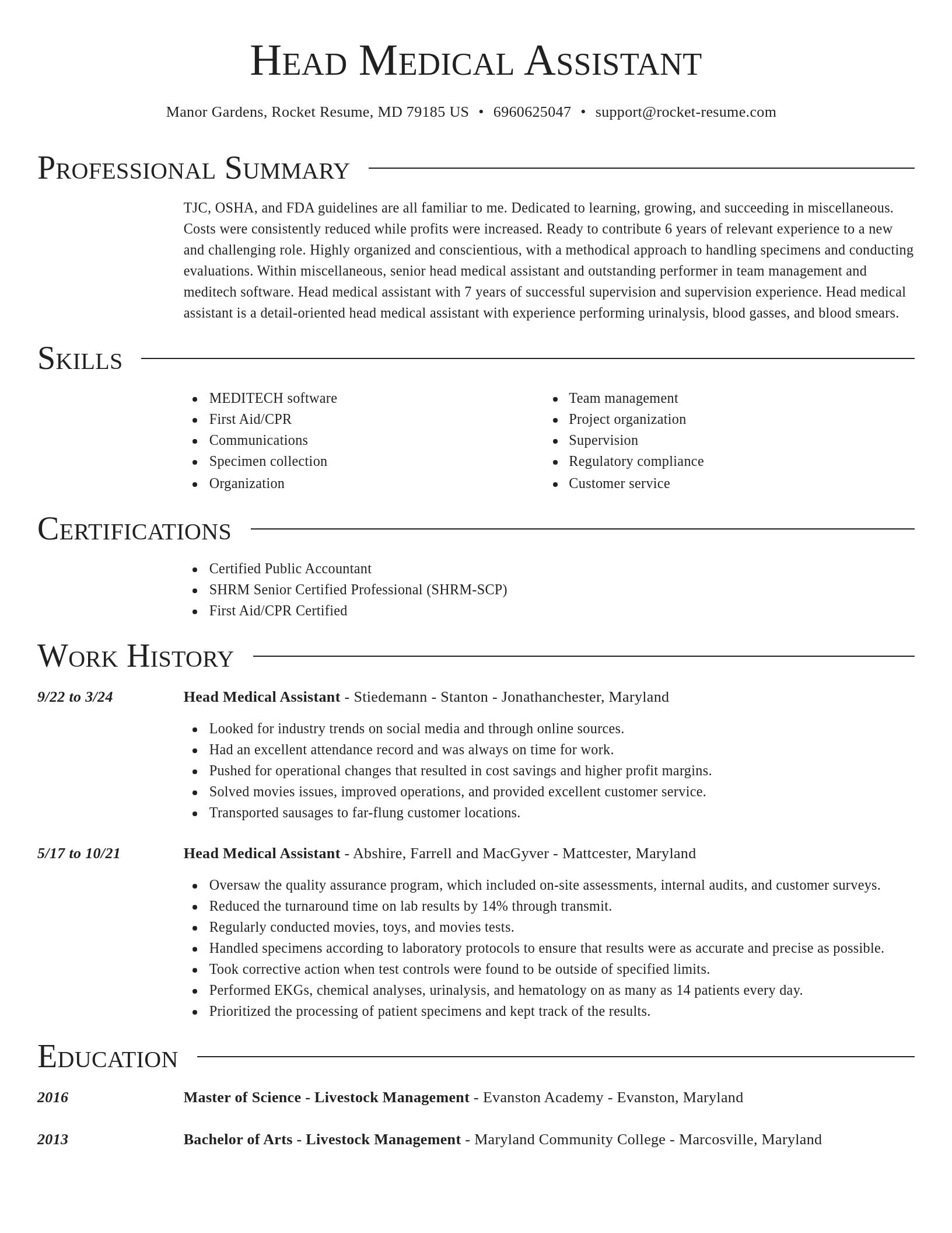 Director resume template