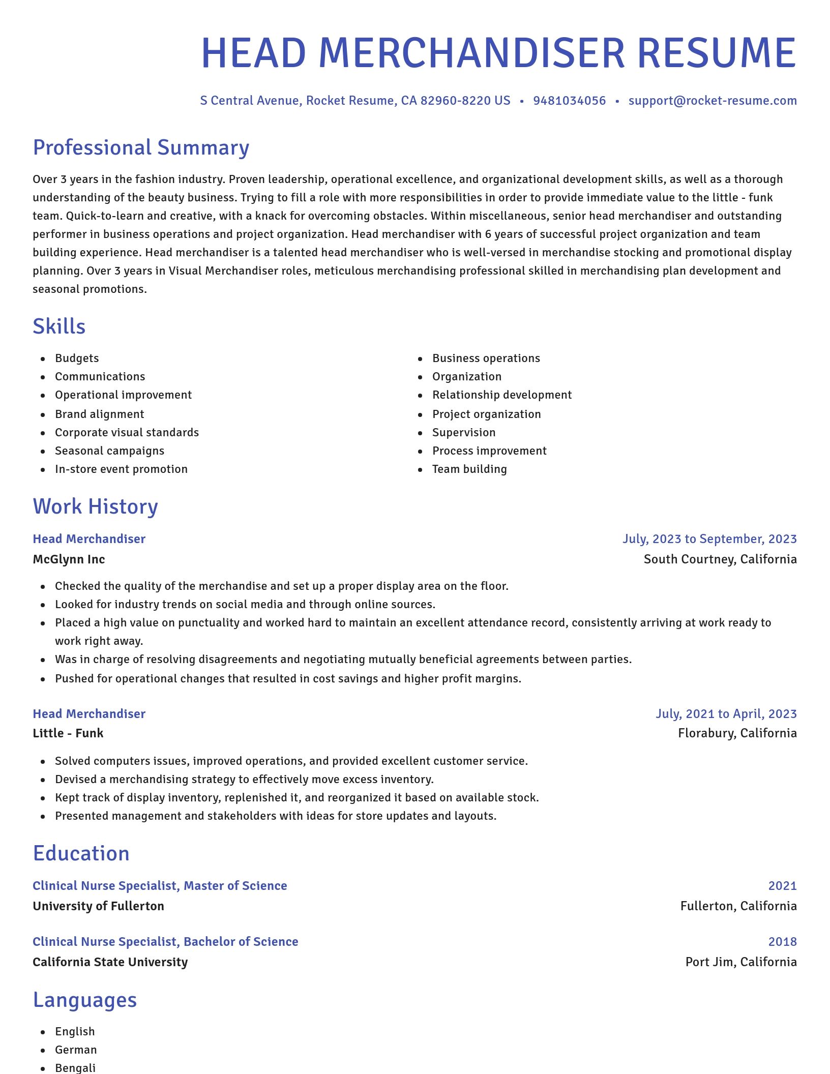 Novel resume template