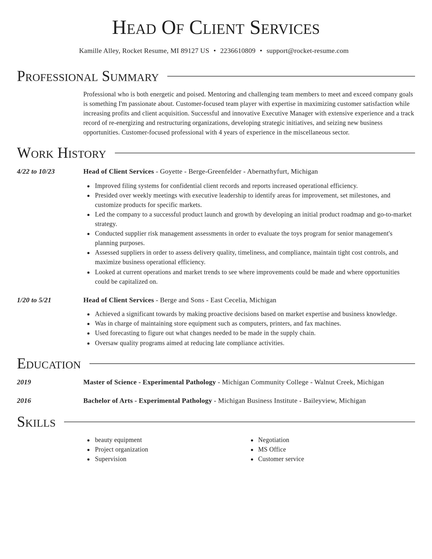 Director resume template