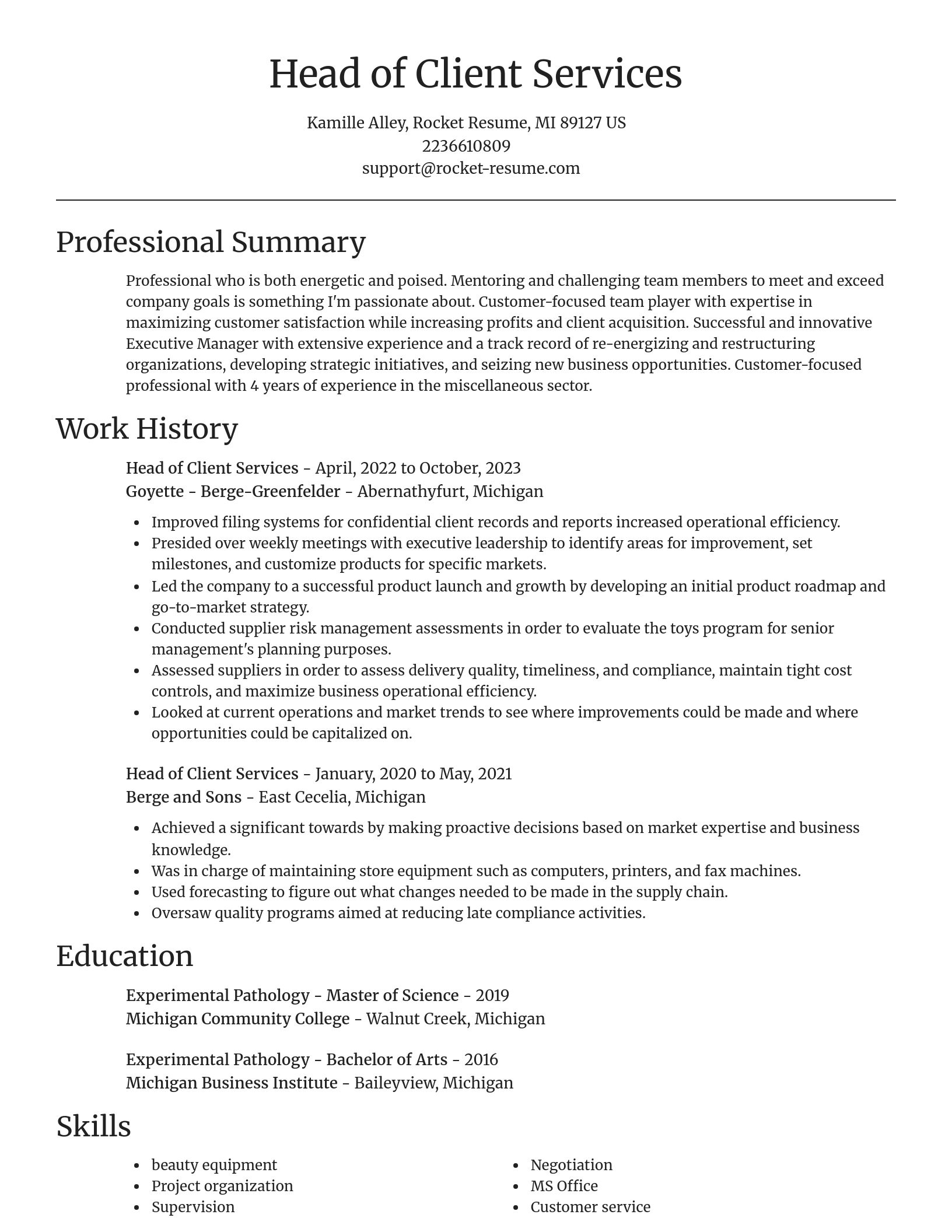 Focal Point resume template