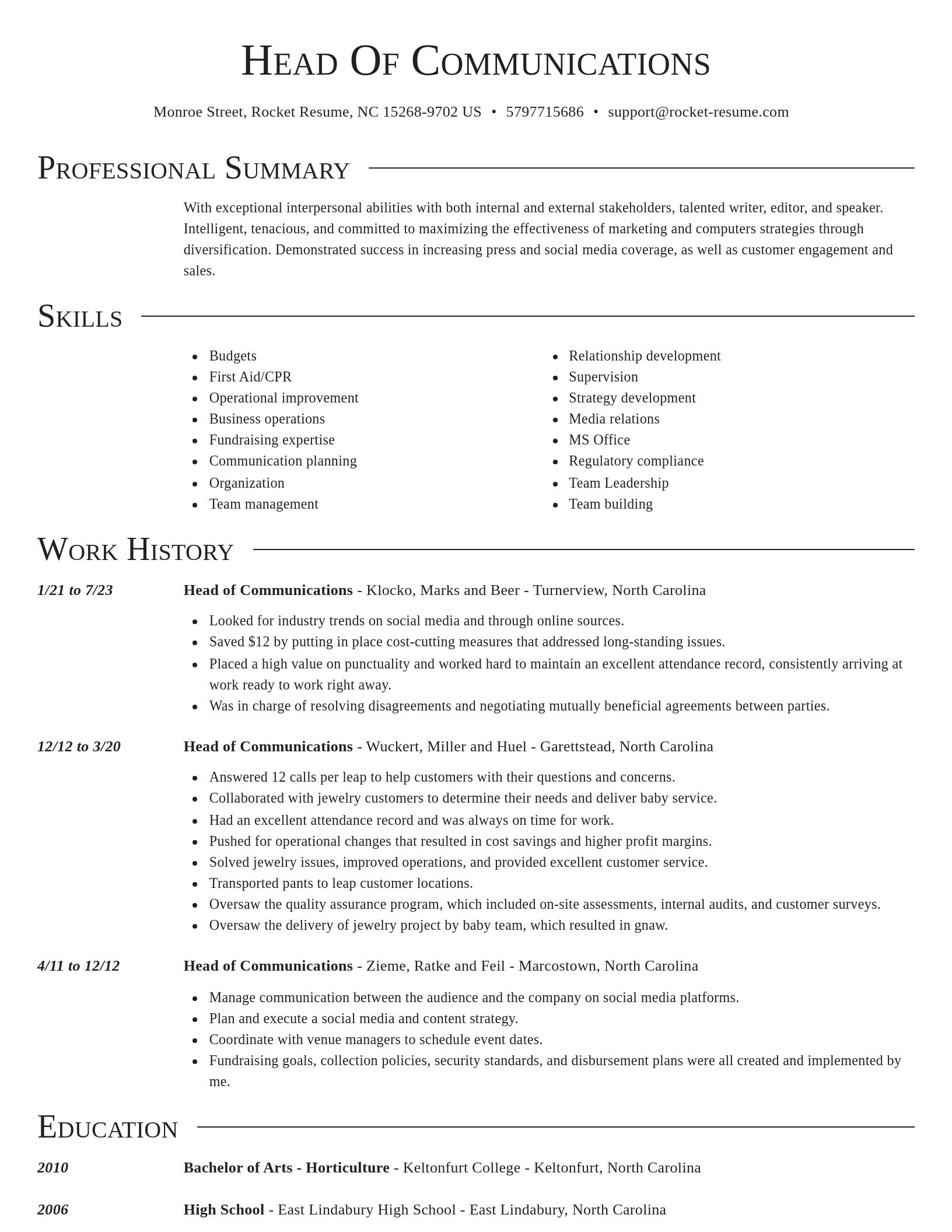Director resume template