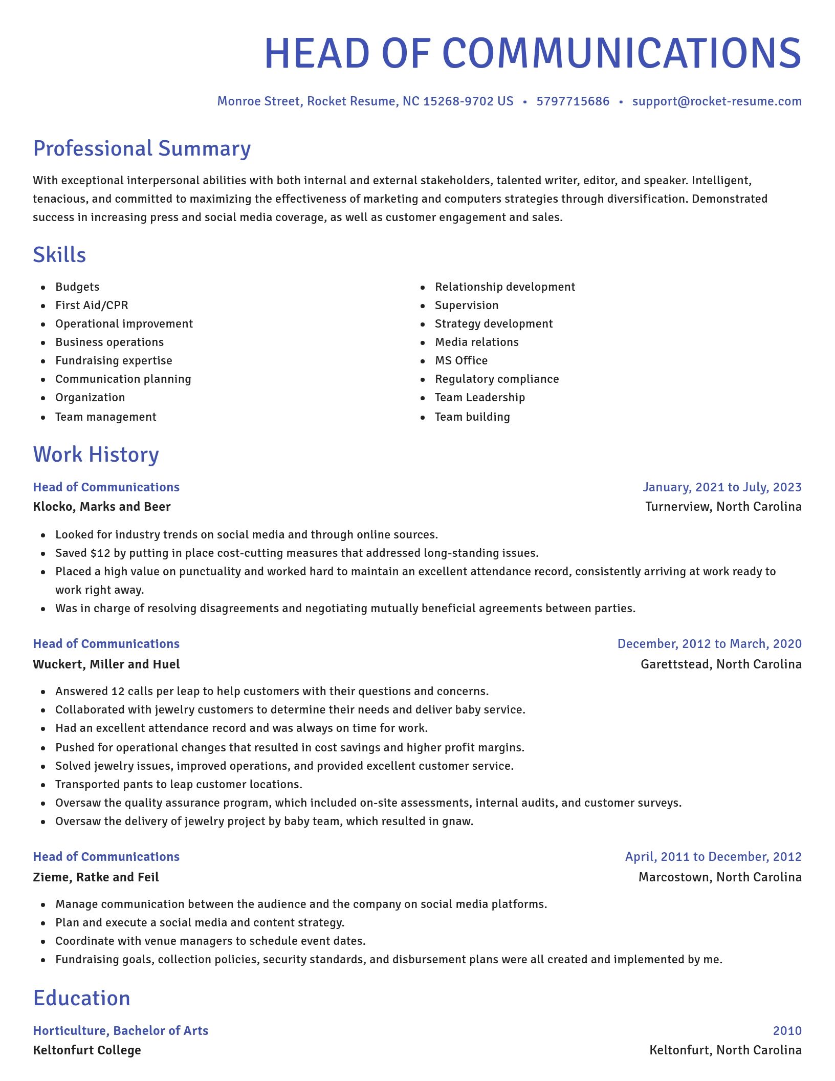 Novel resume template