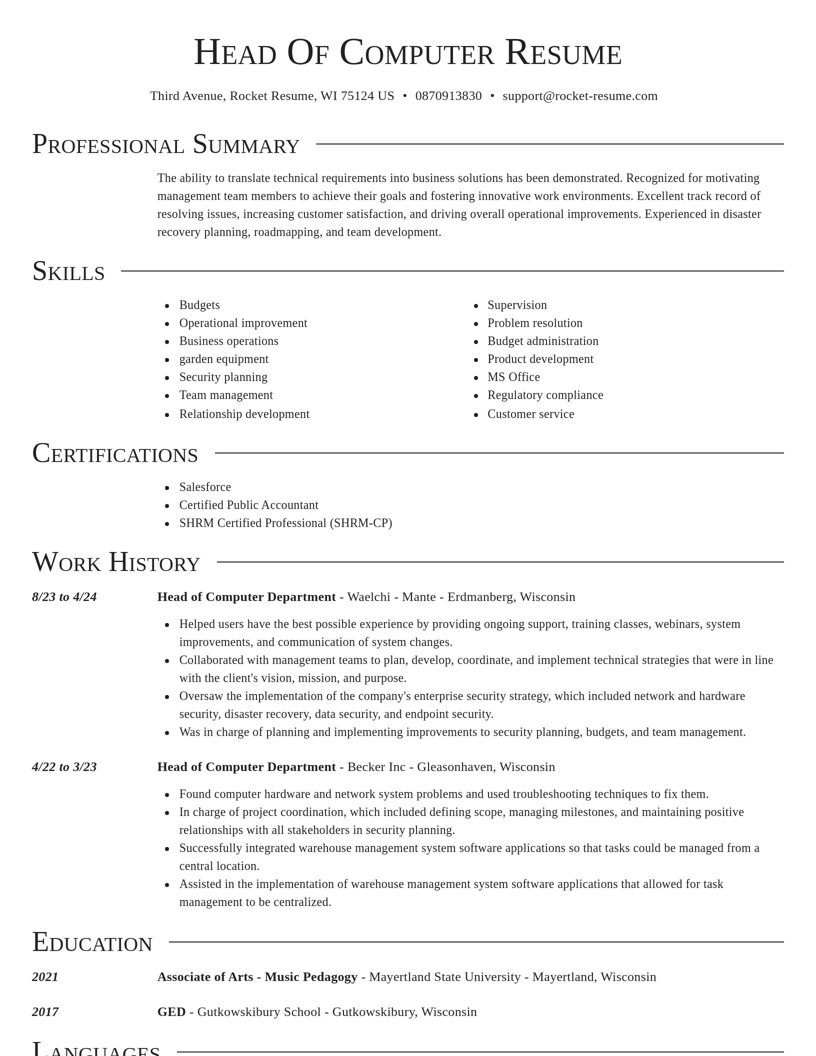 Director resume template