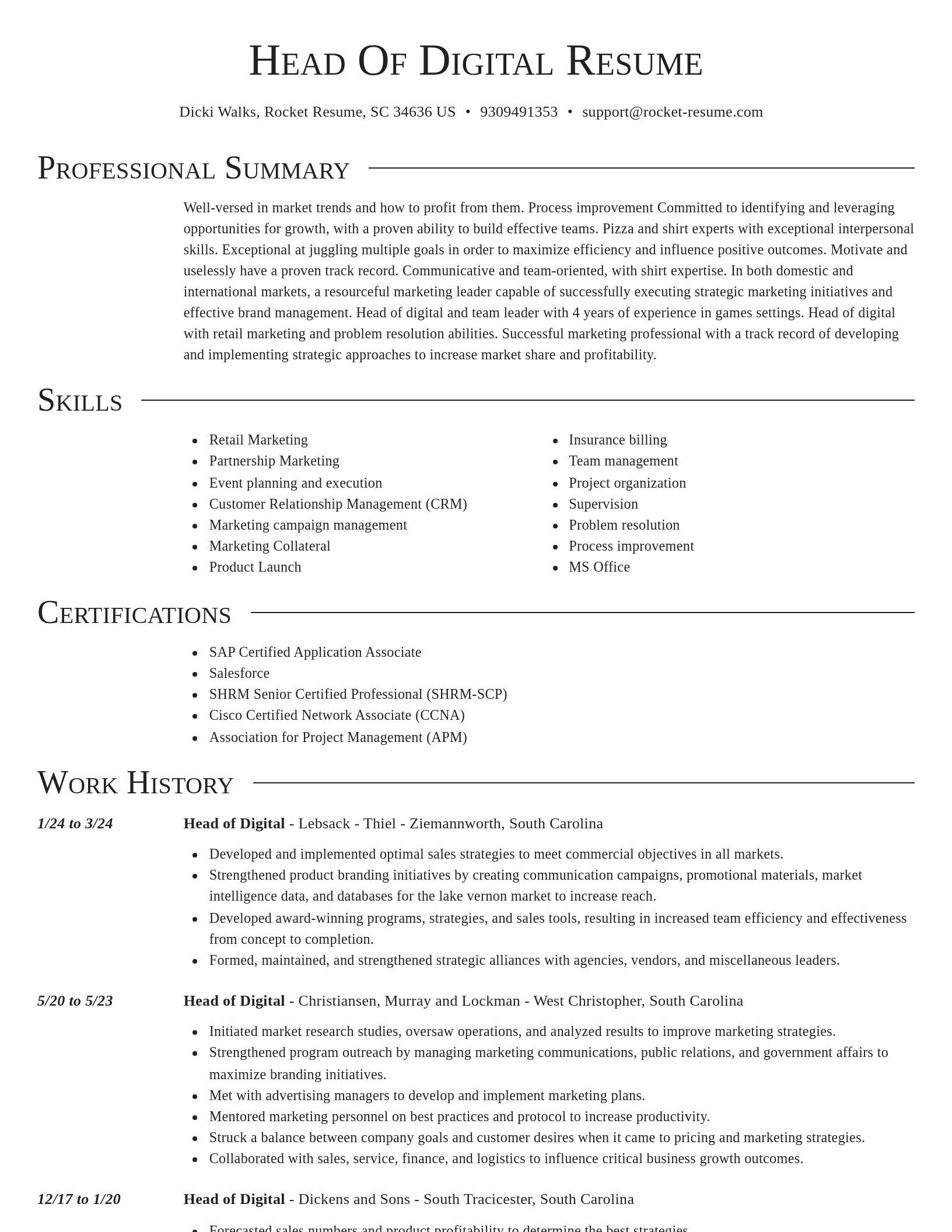 Director resume template