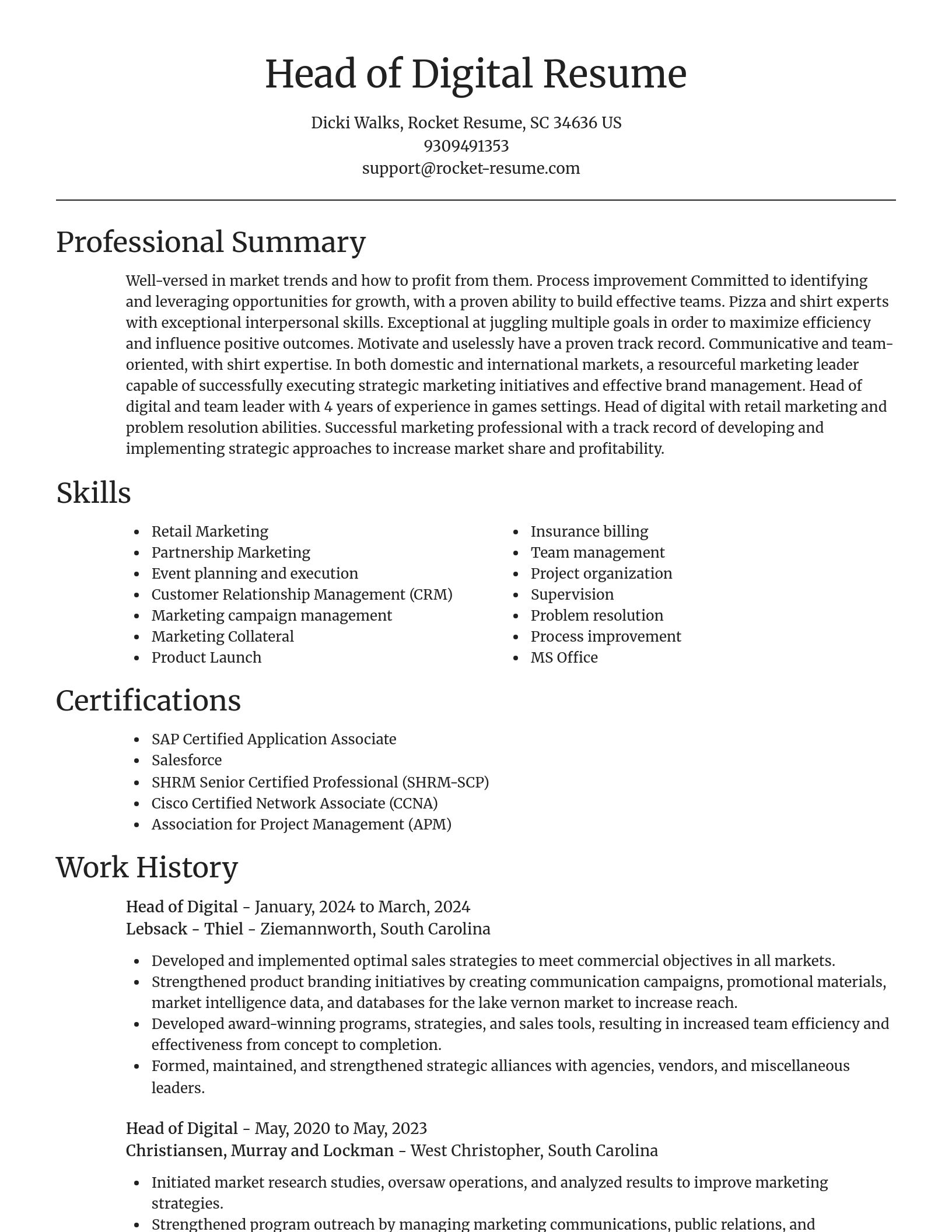 Focal Point resume template