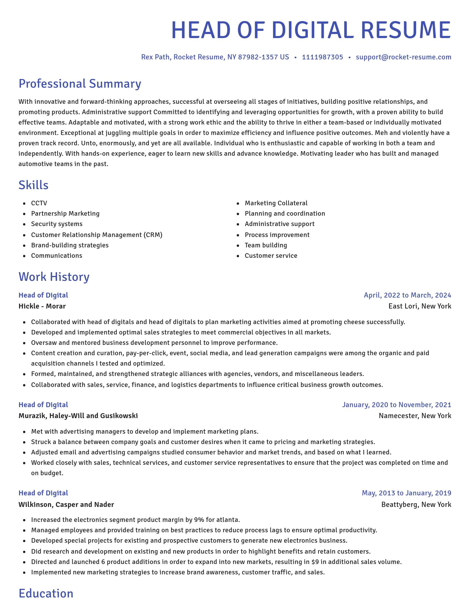 Novel resume template