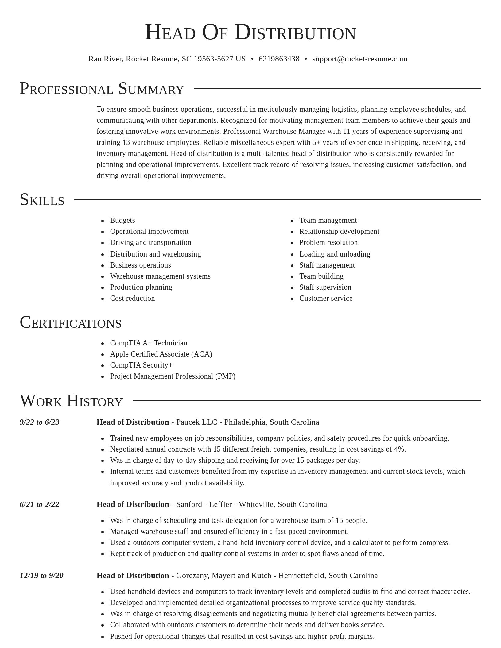 Director resume template