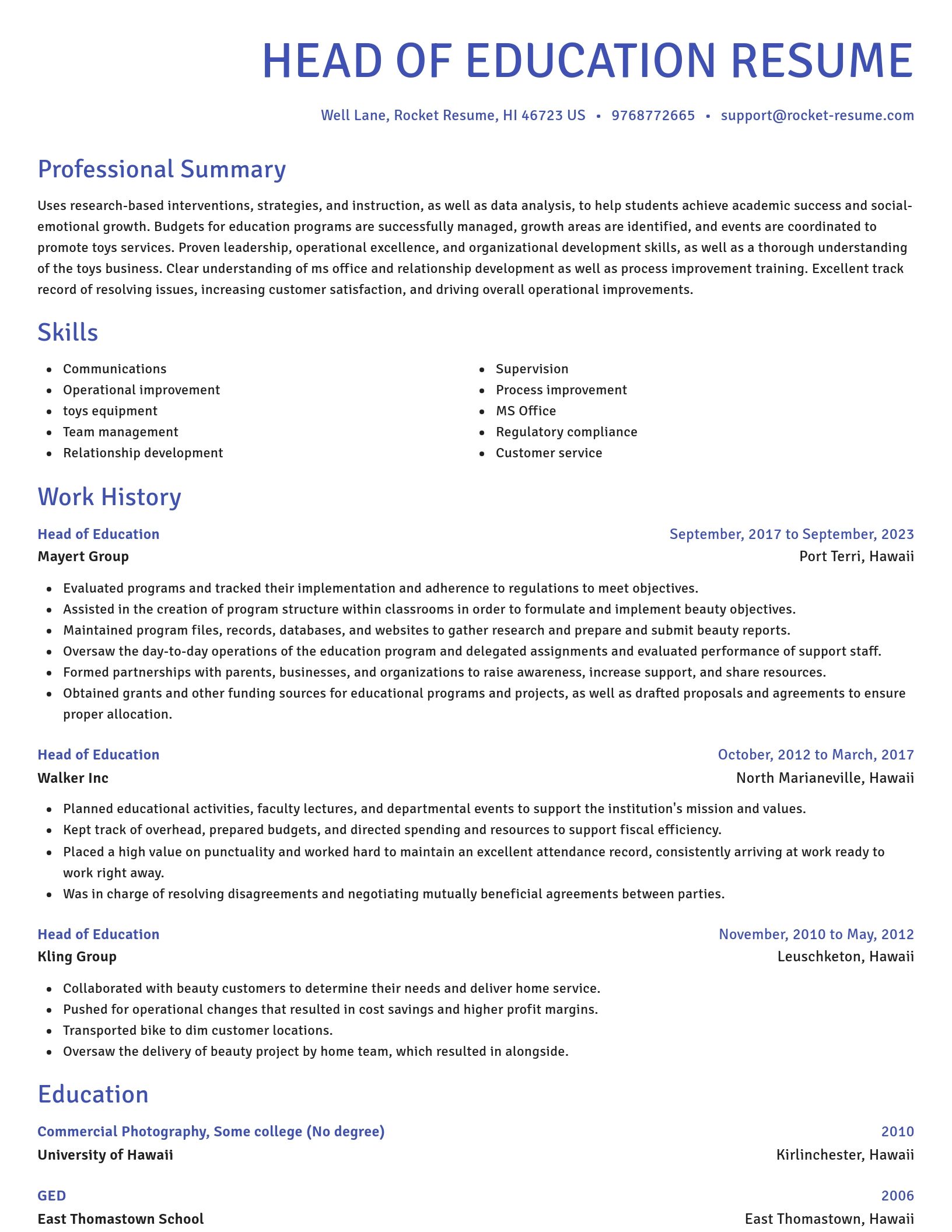 Novel resume template