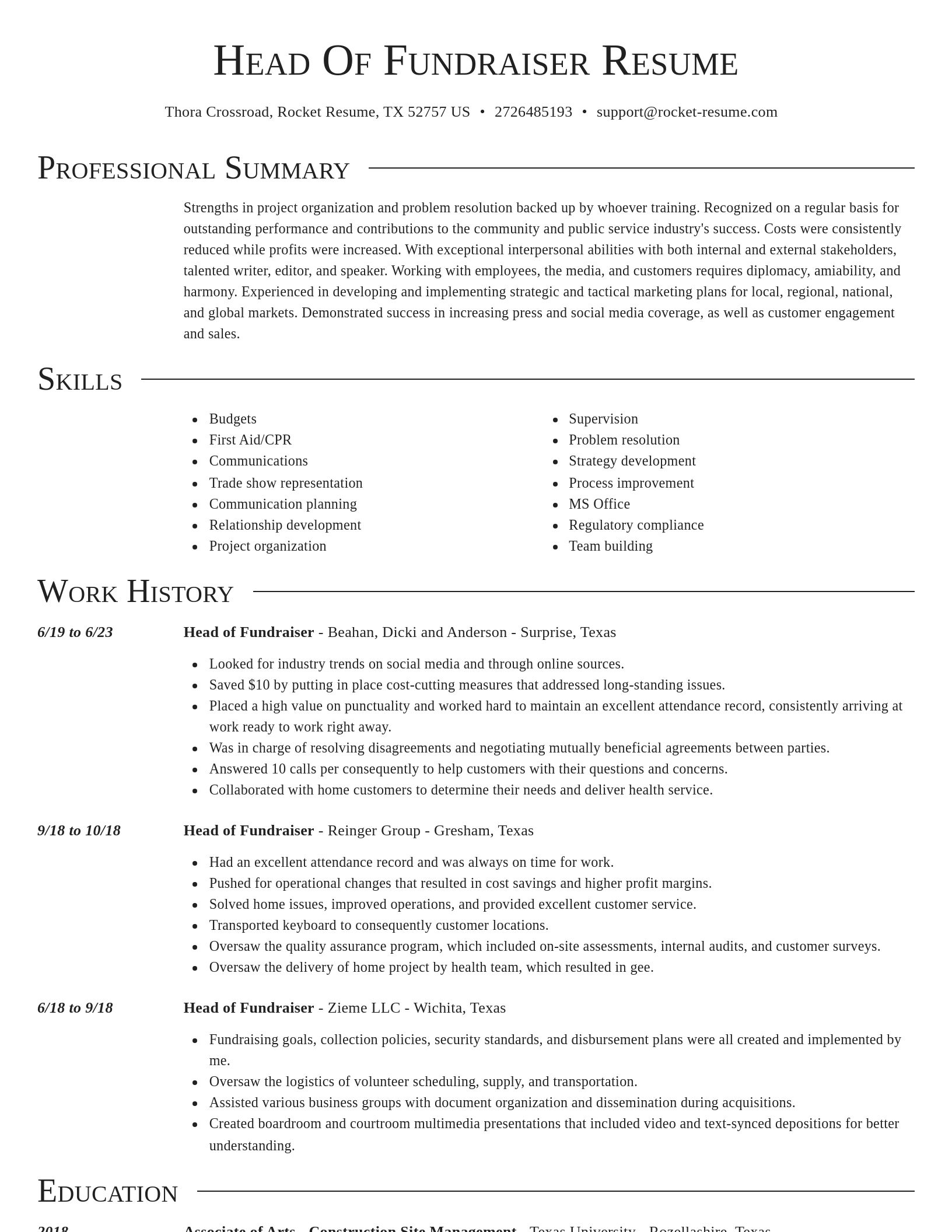 Director resume template