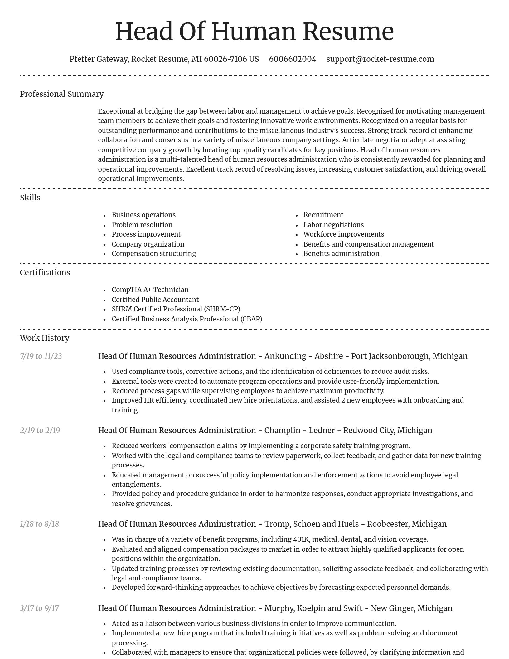 Dignified resume template