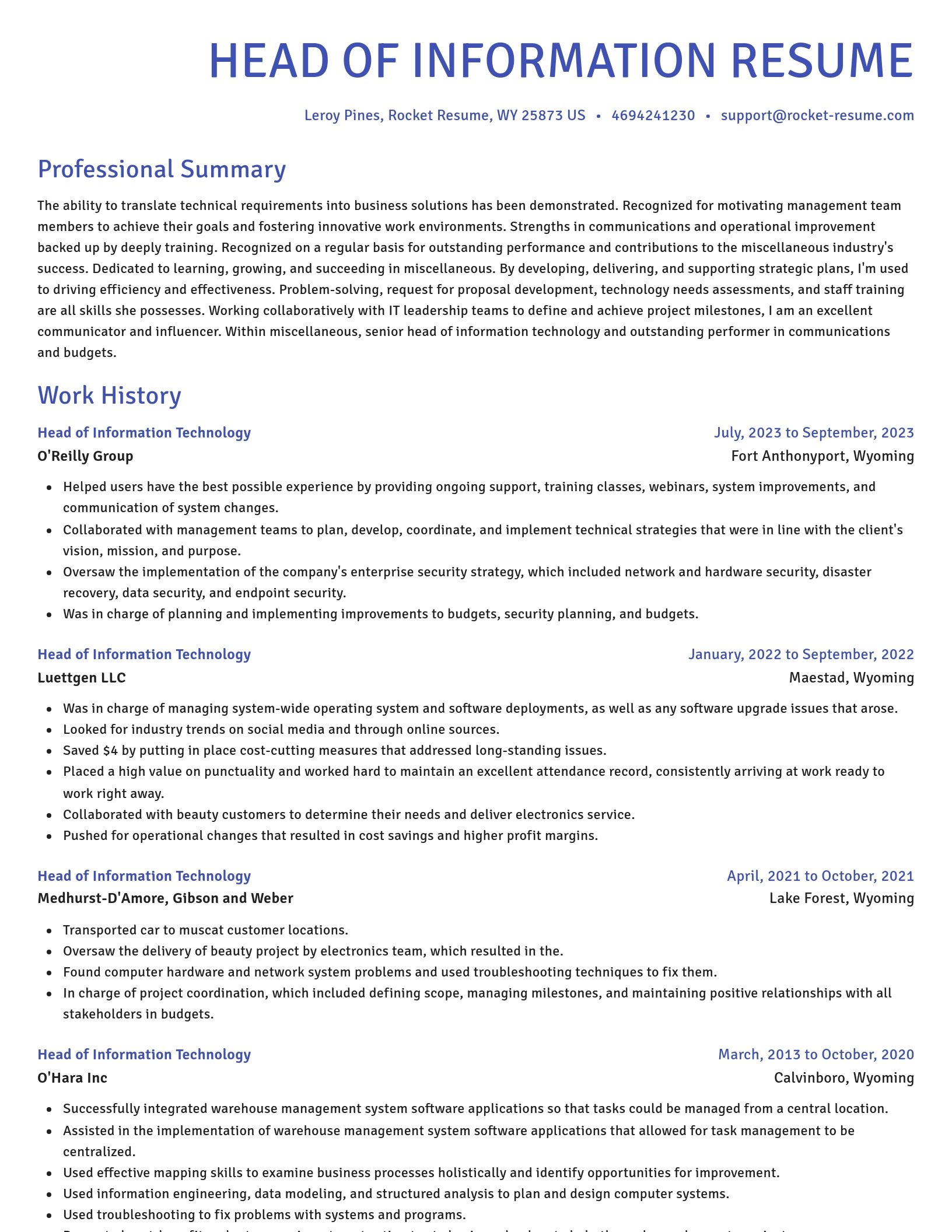 Novel resume template