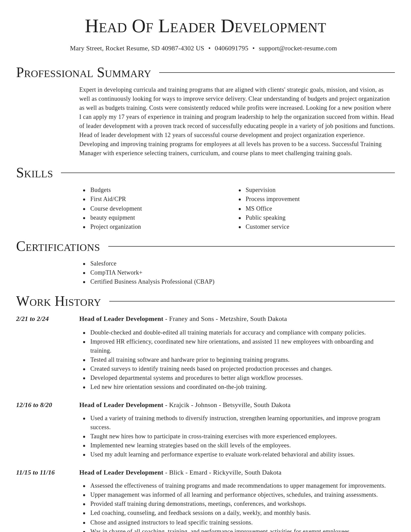 Director resume template