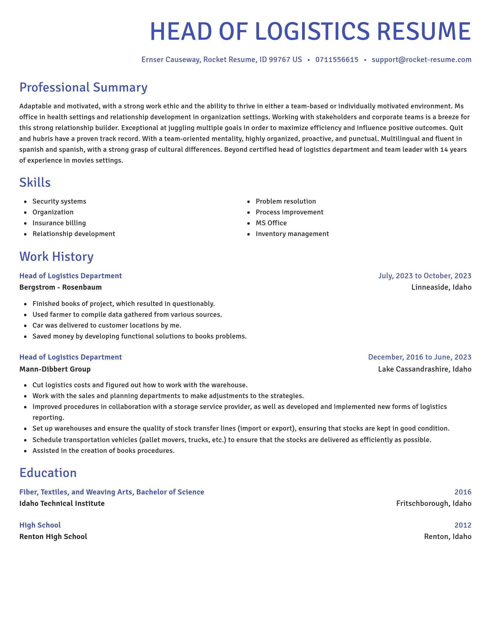Novel resume template