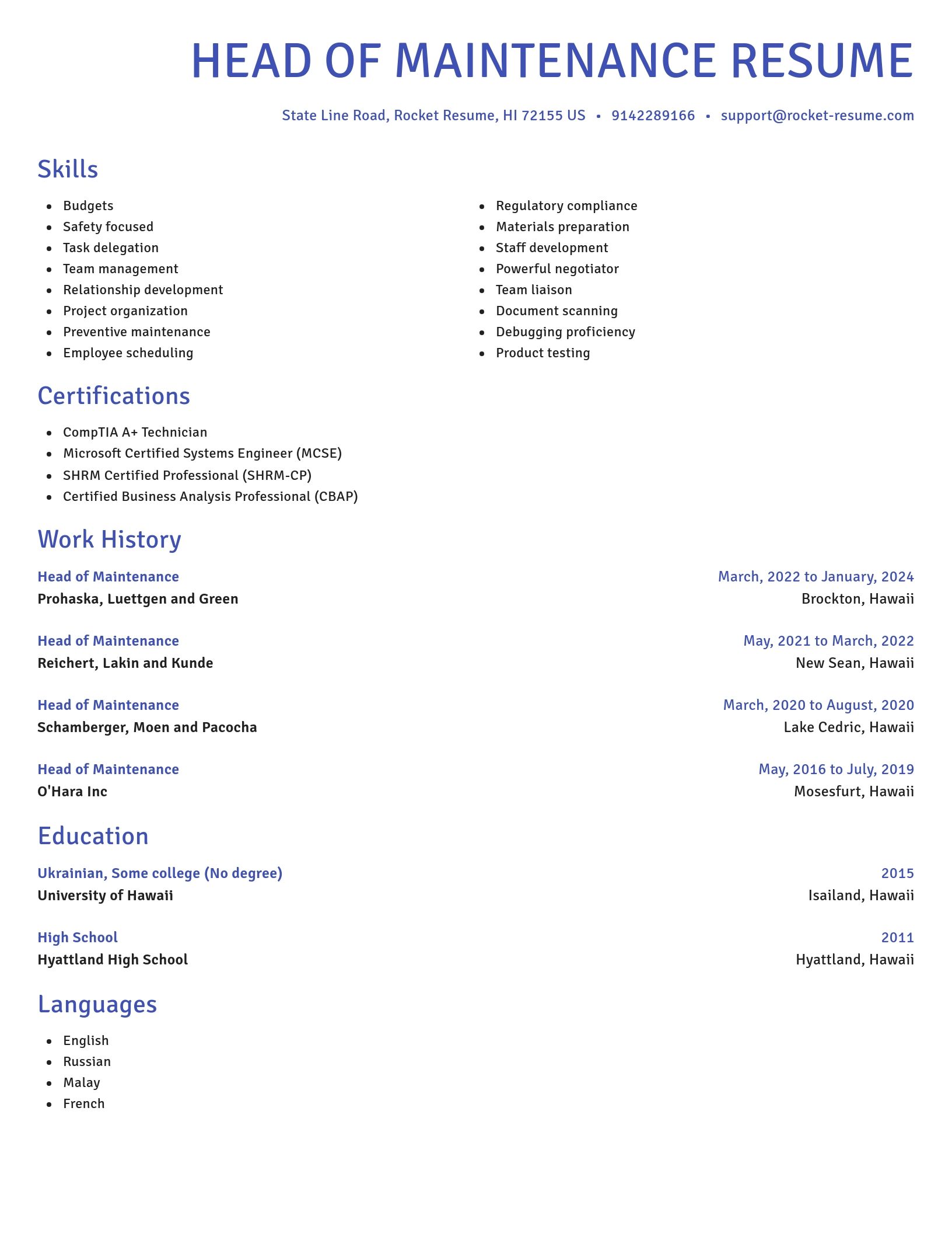Novel resume template
