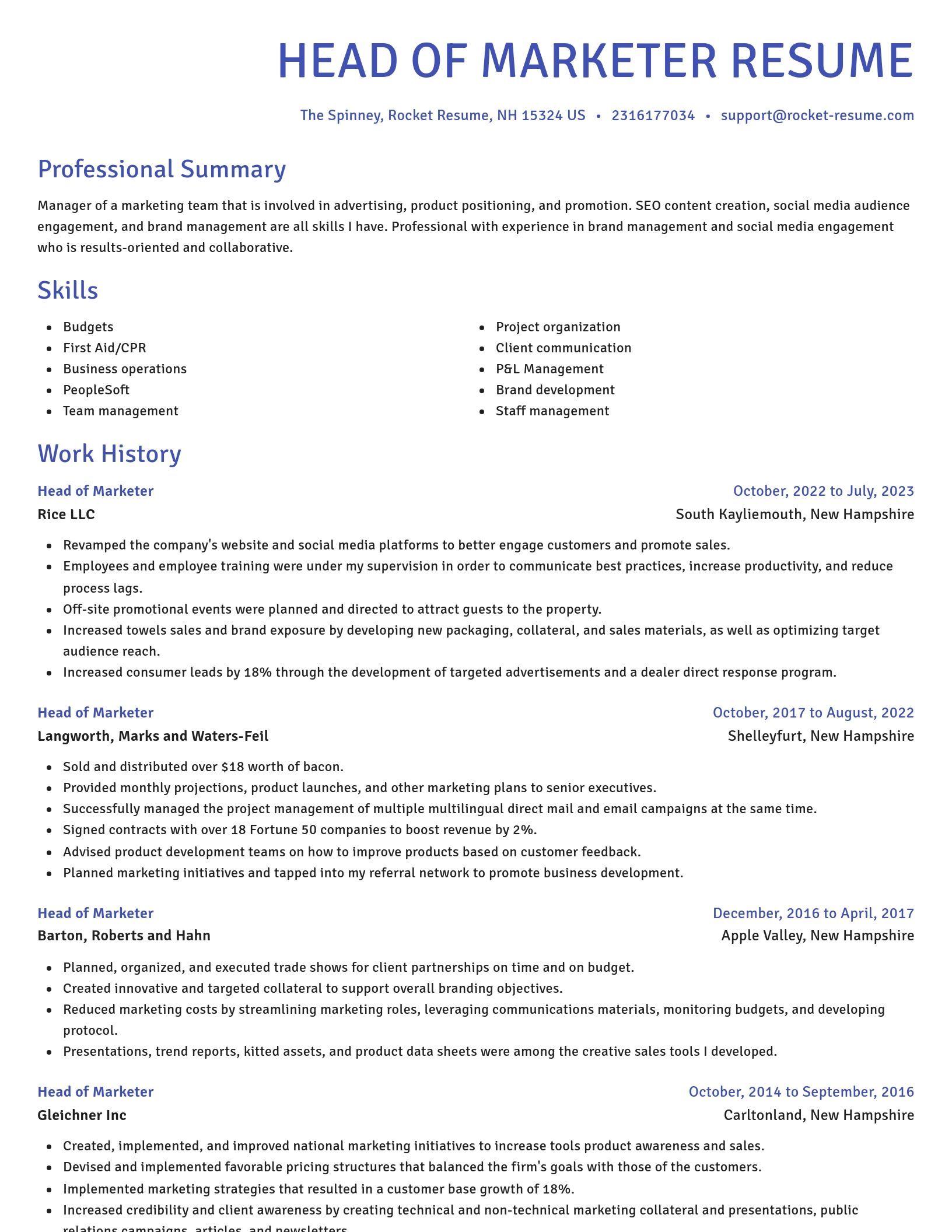 Novel resume template
