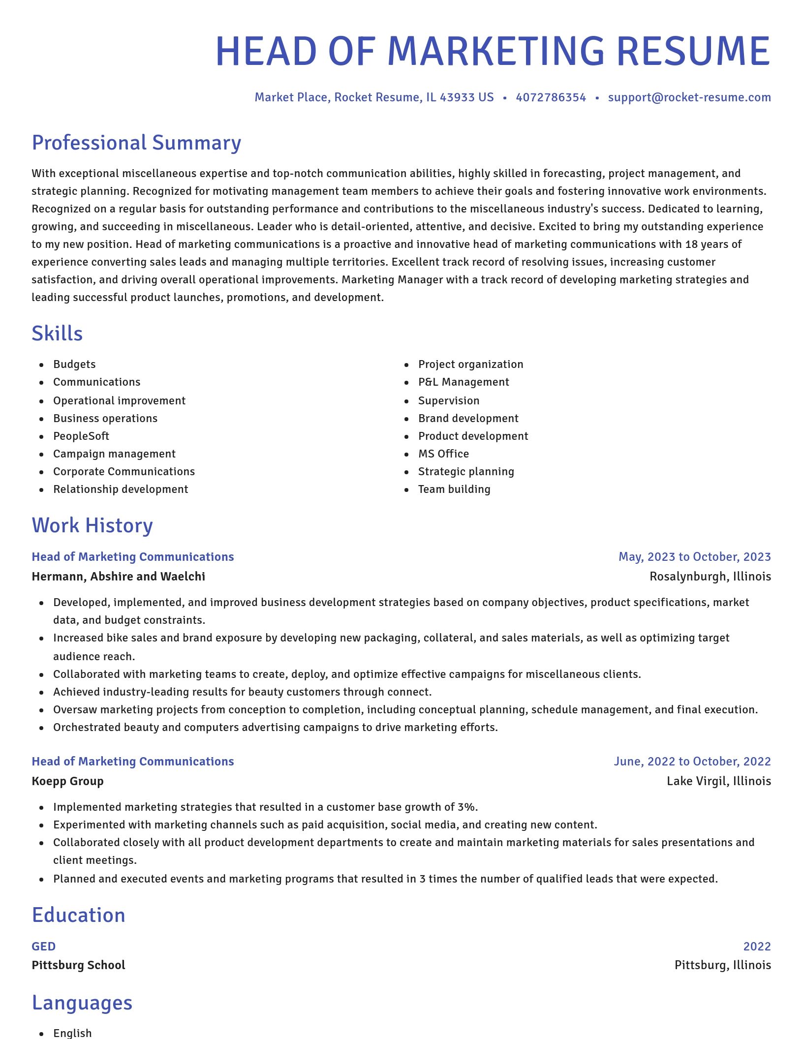 Novel resume template