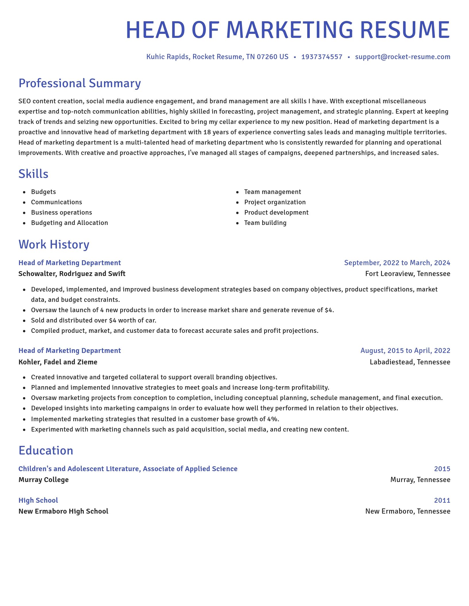 Novel resume template