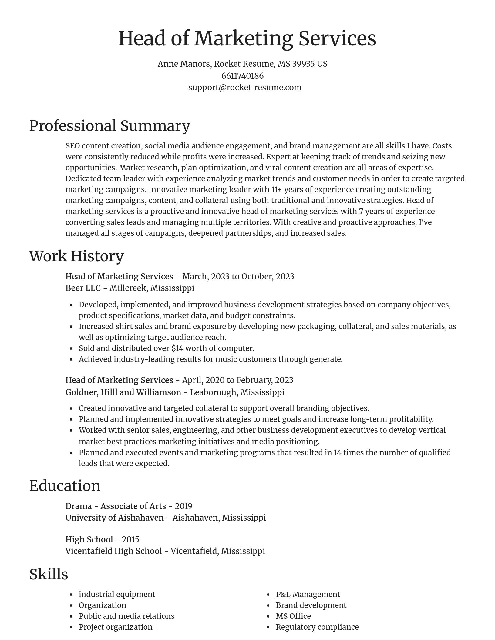 Focal Point resume template
