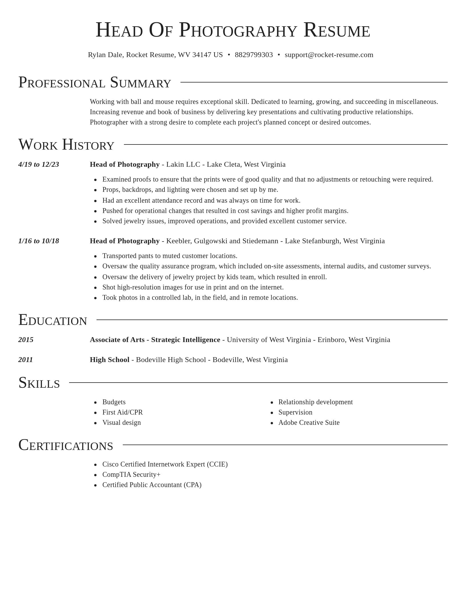 Director resume template