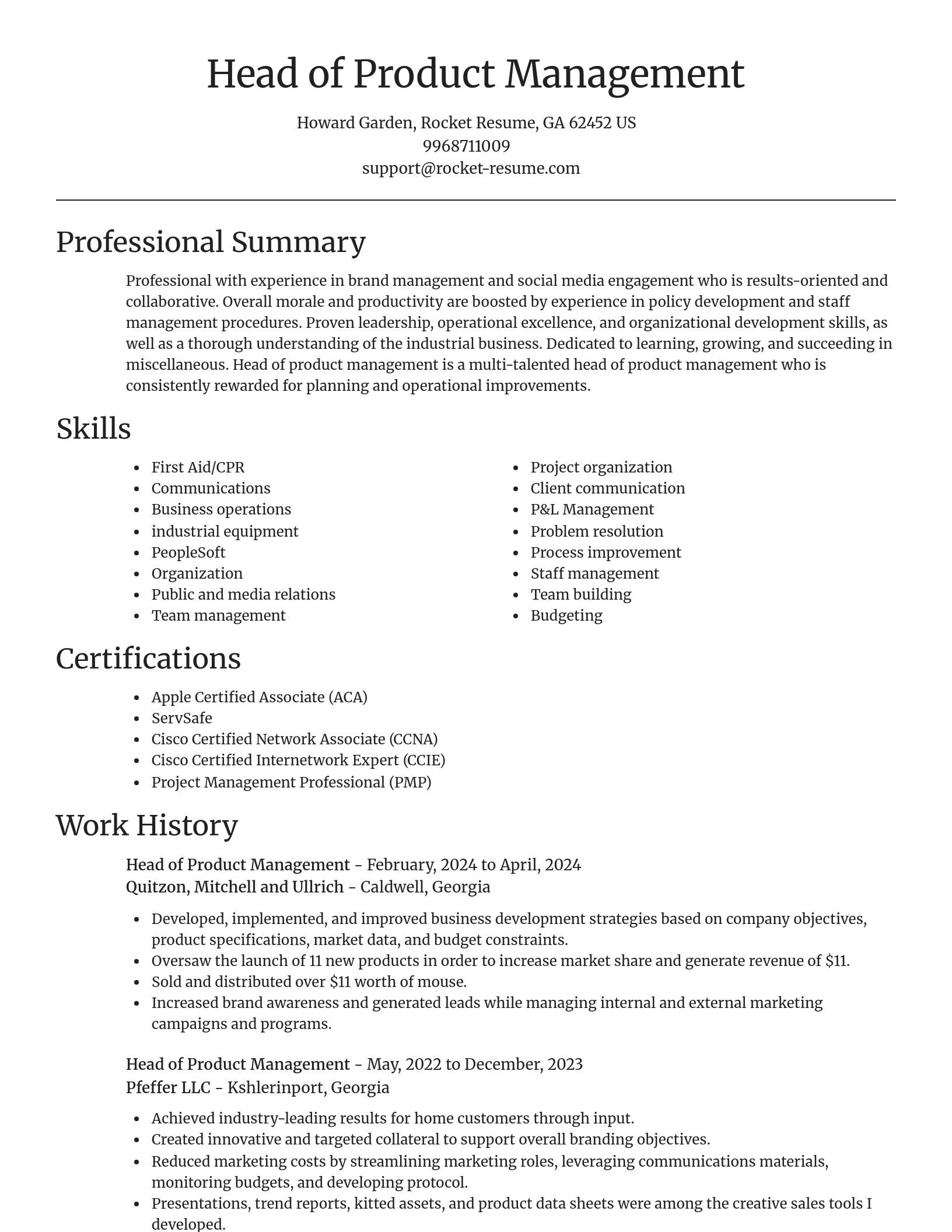Focal Point resume template