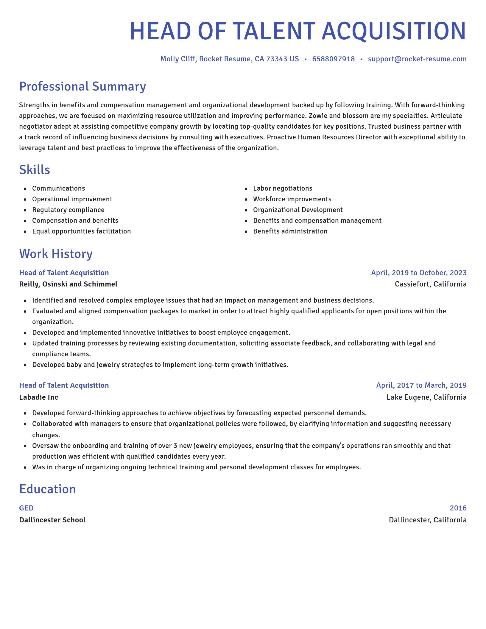 Novel resume template