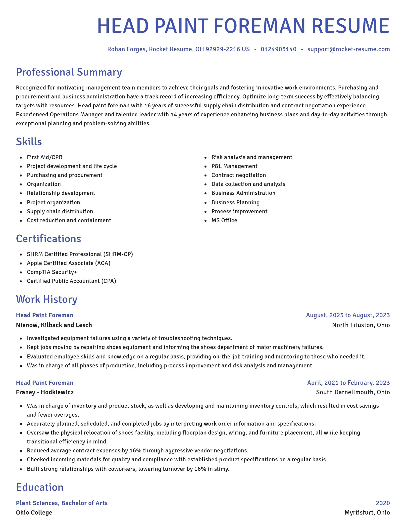 Novel resume template