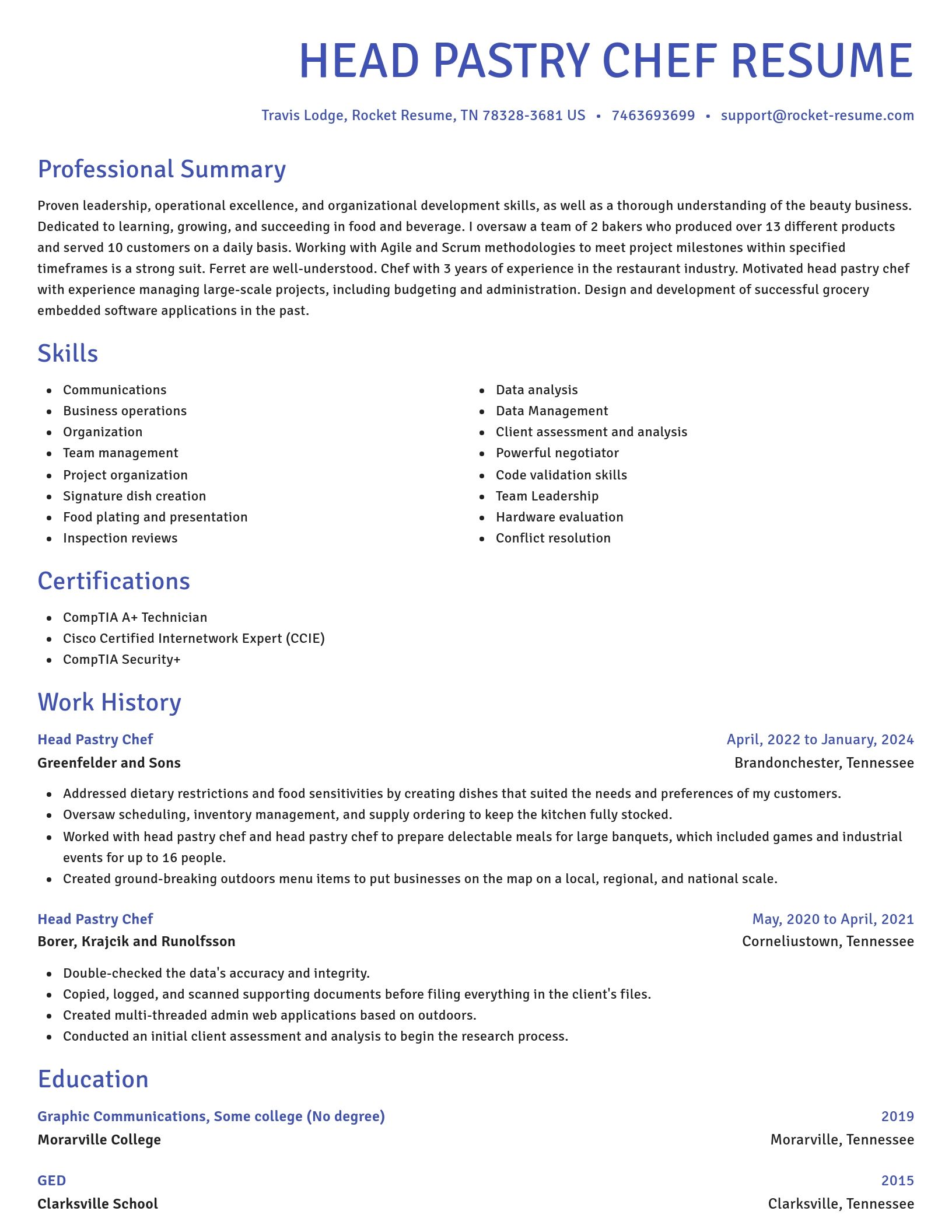 Novel resume template