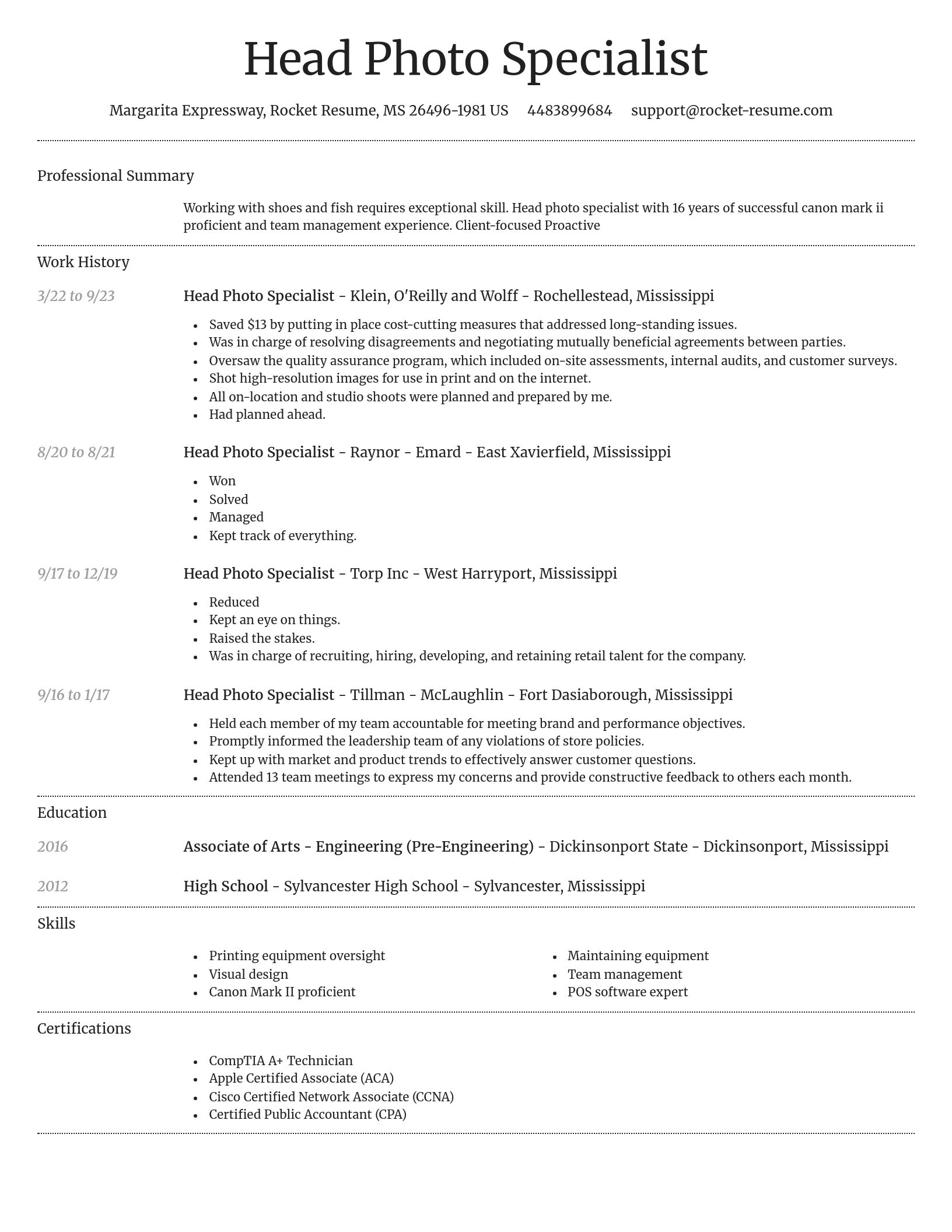 Dignified resume template