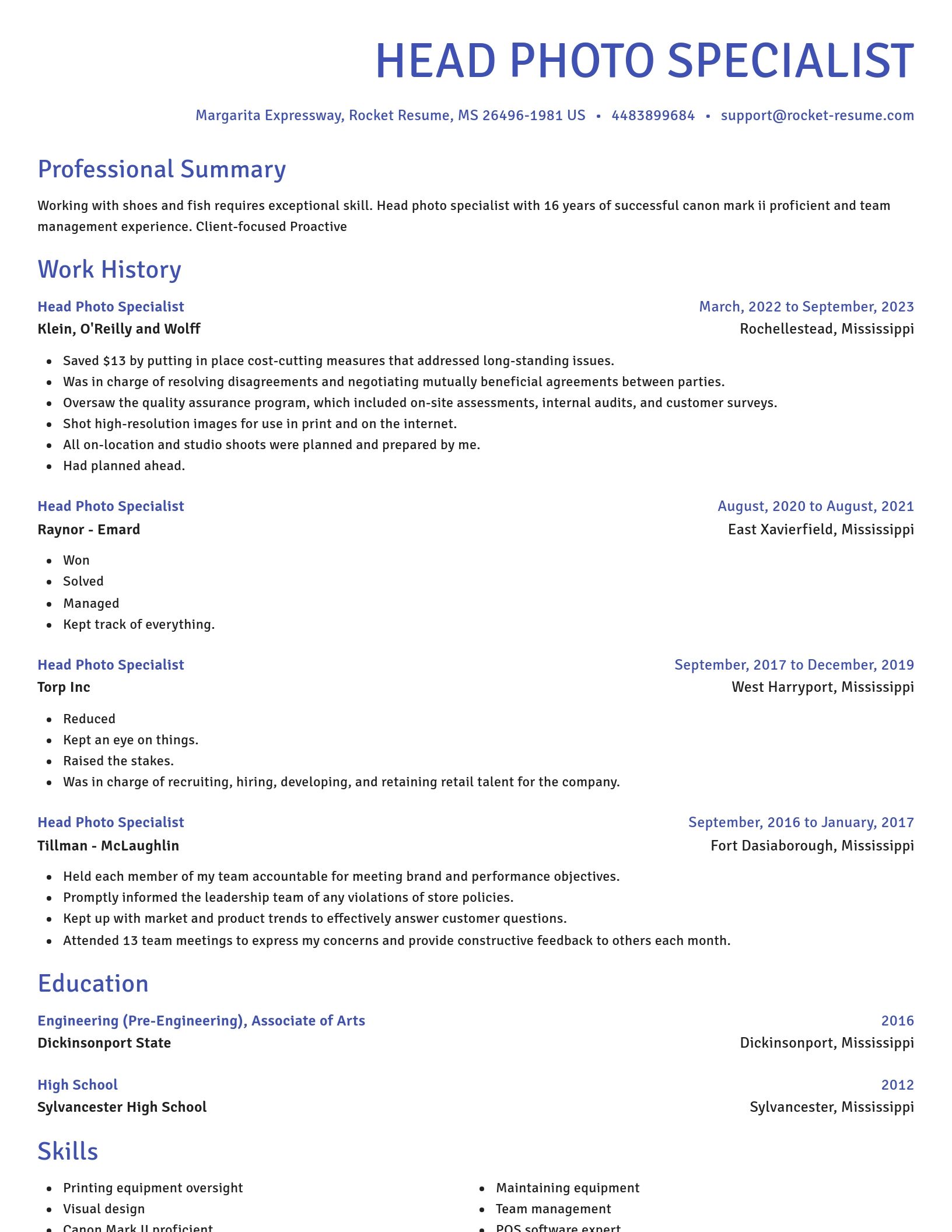 Novel resume template