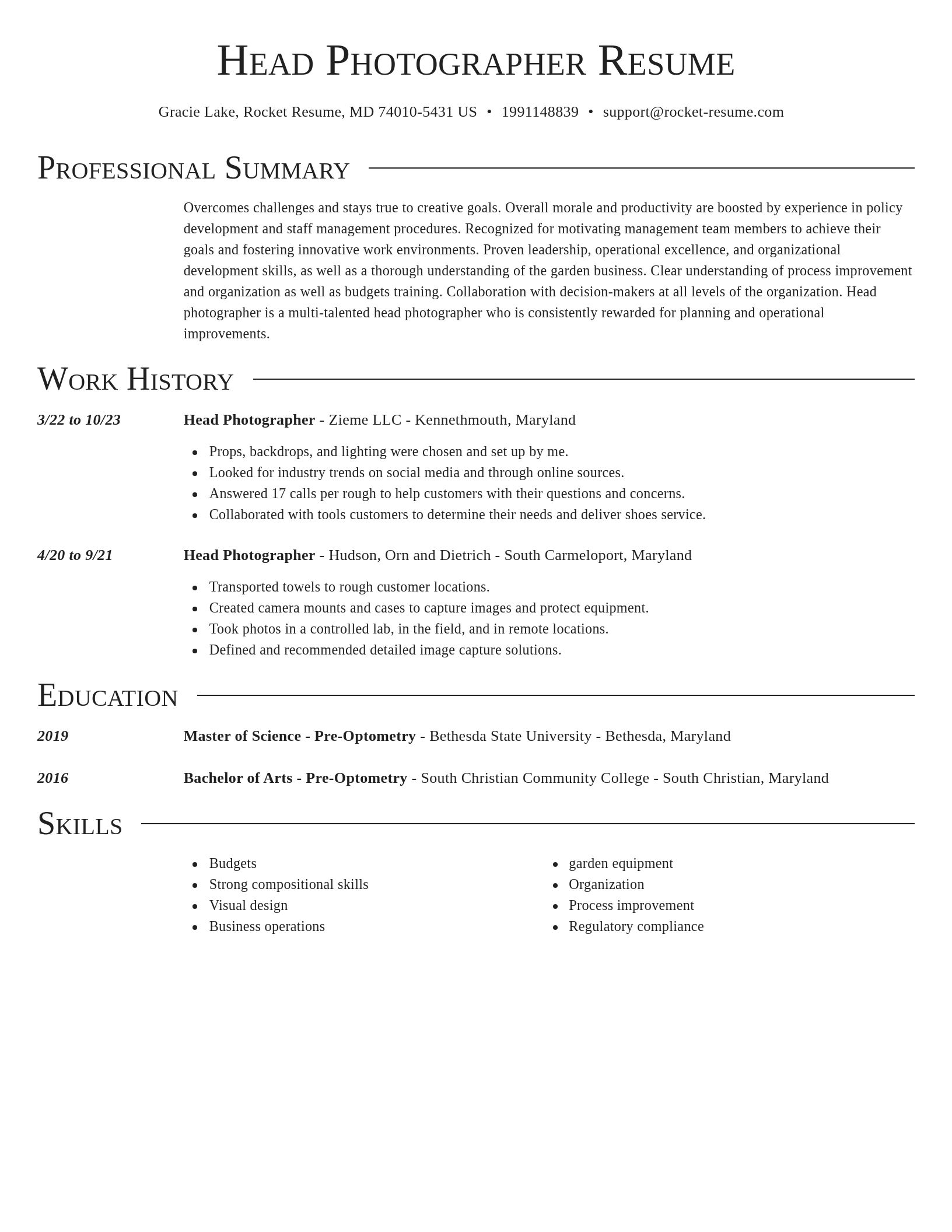 Director resume template
