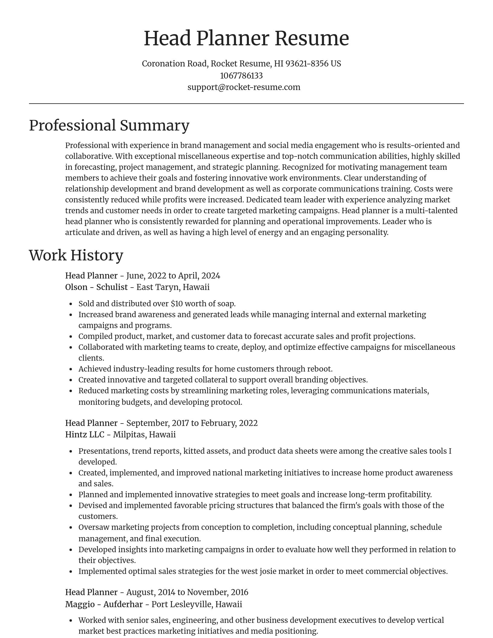 Focal Point resume template