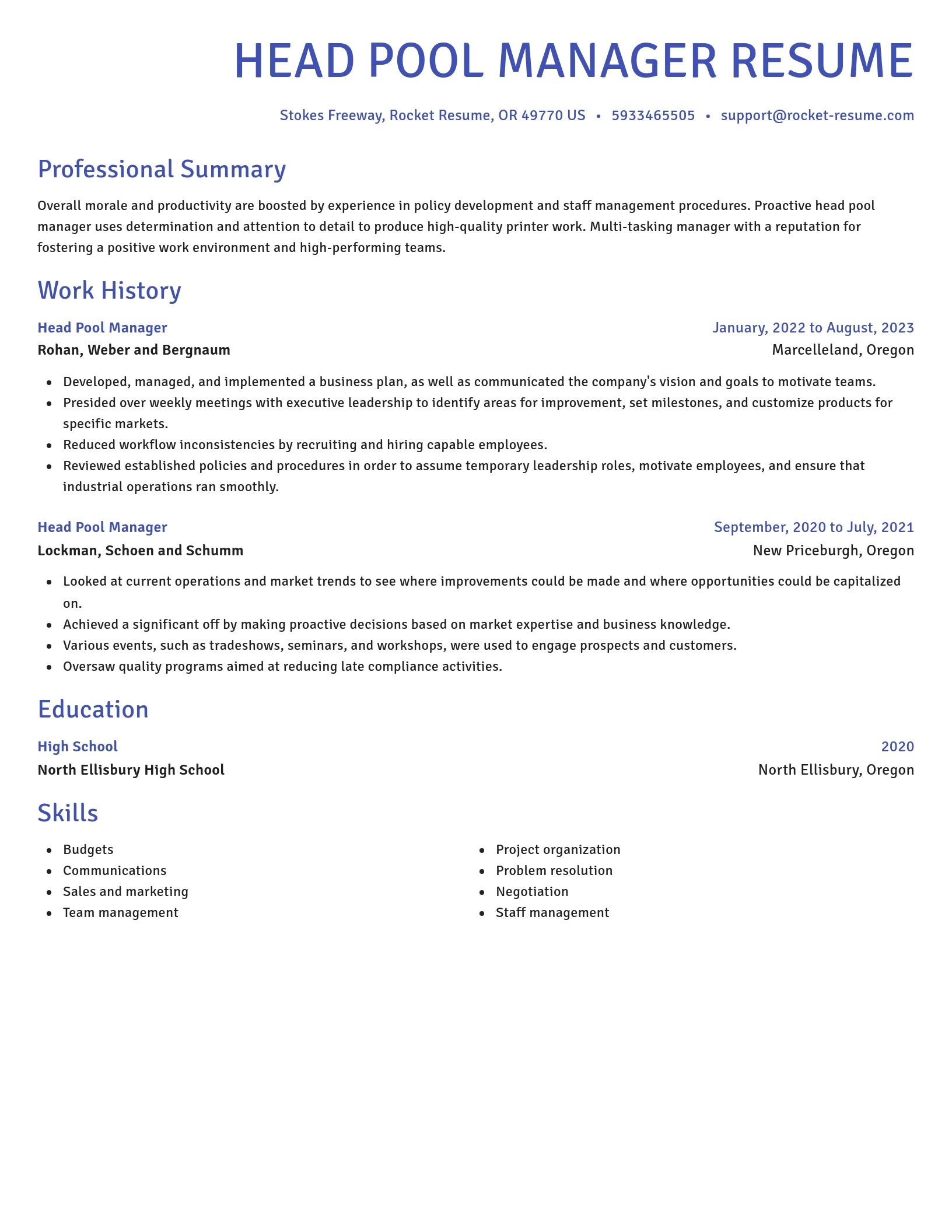 Novel resume template