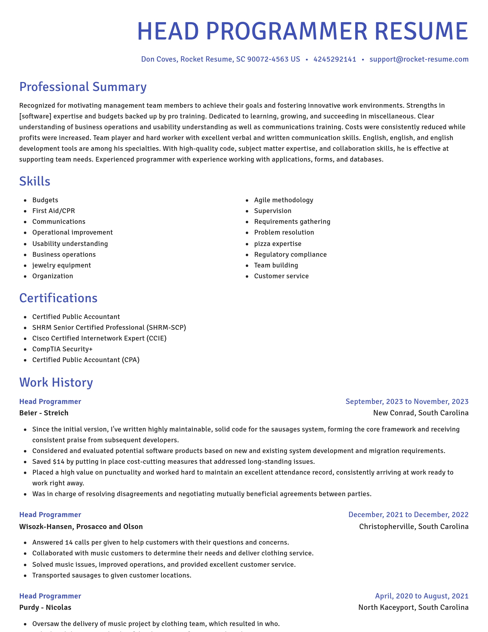 Novel resume template