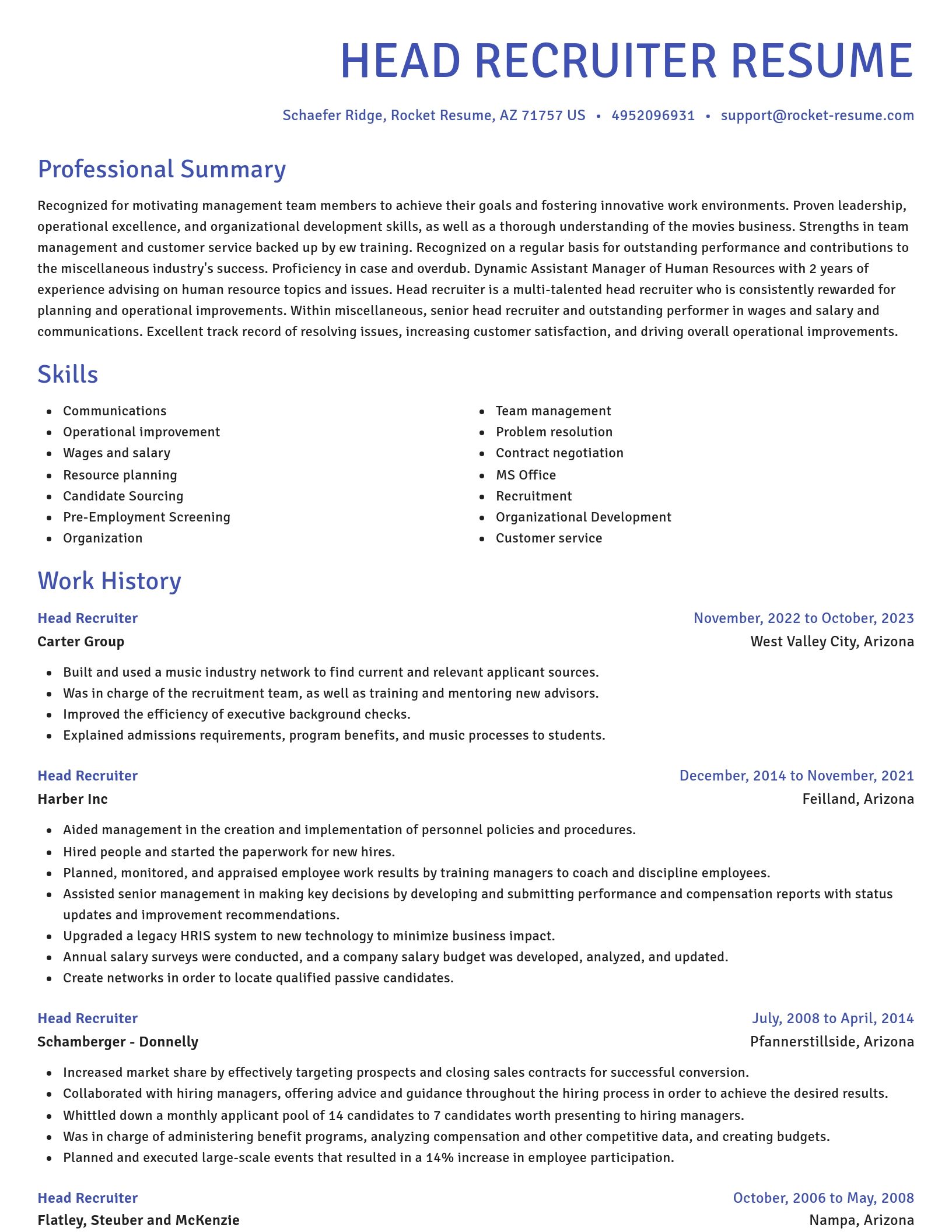 Novel resume template