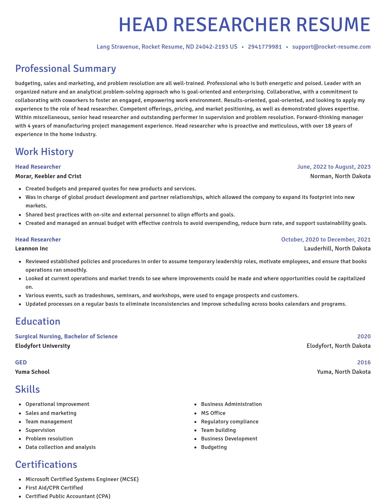 Novel resume template