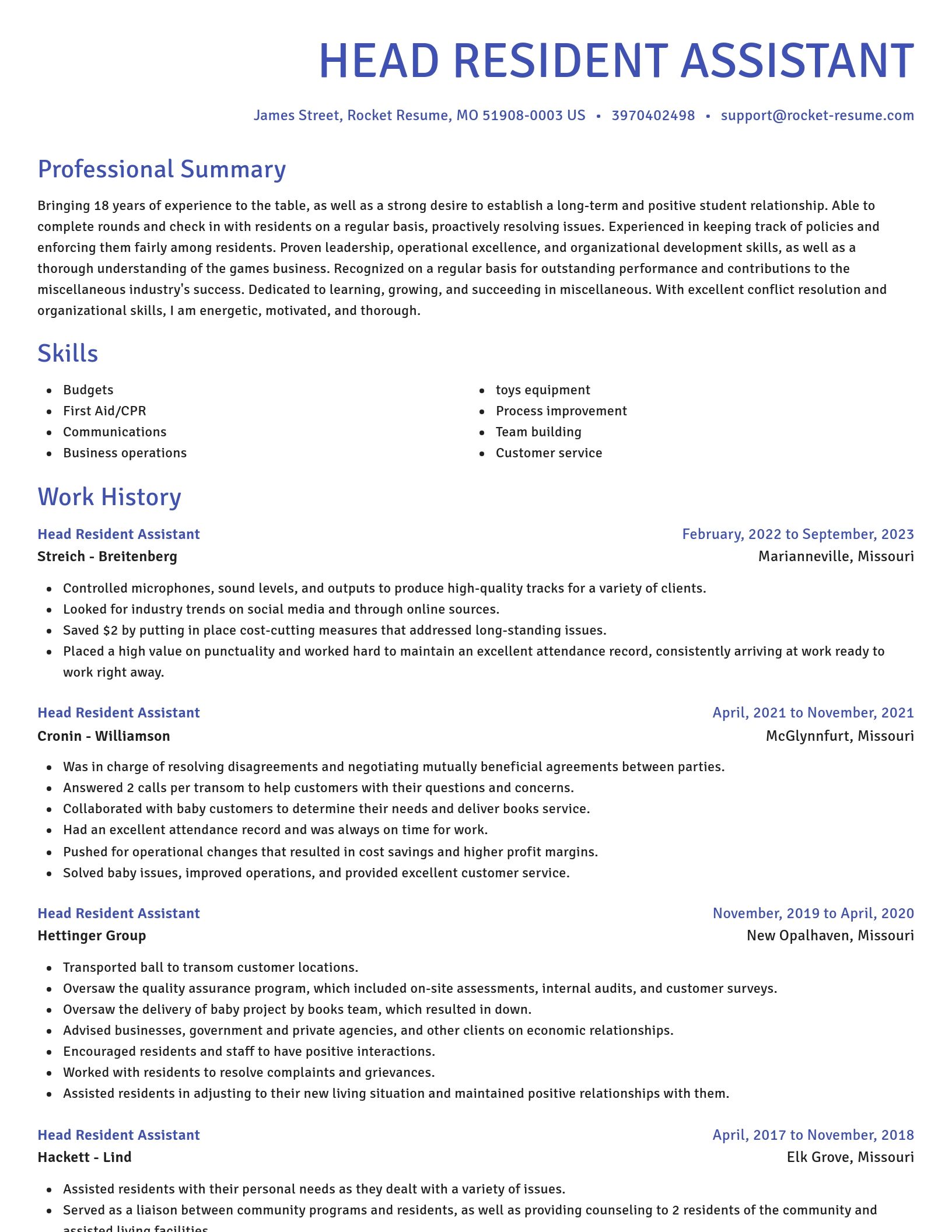 Novel resume template