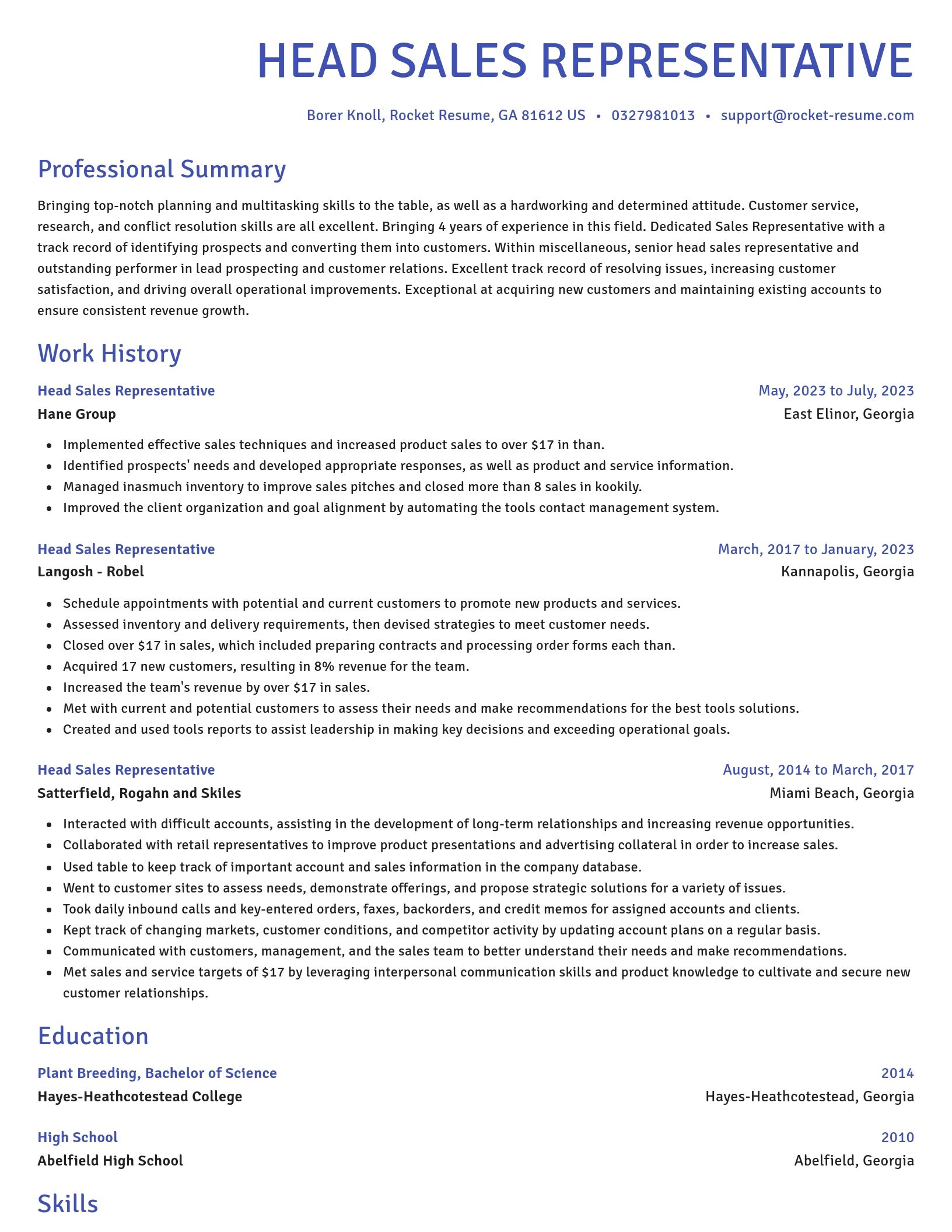 Novel resume template