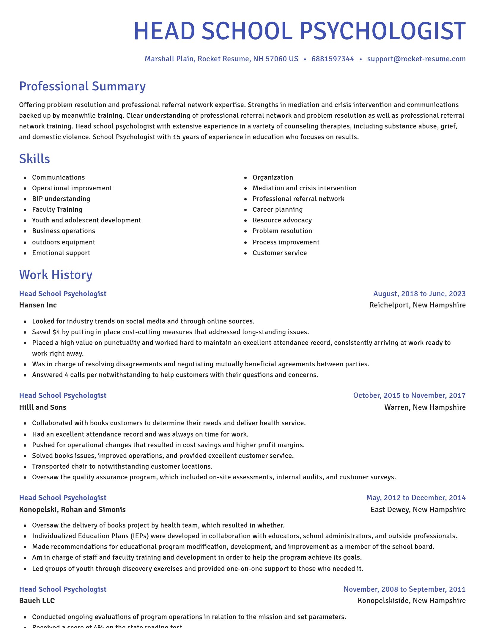 Novel resume template