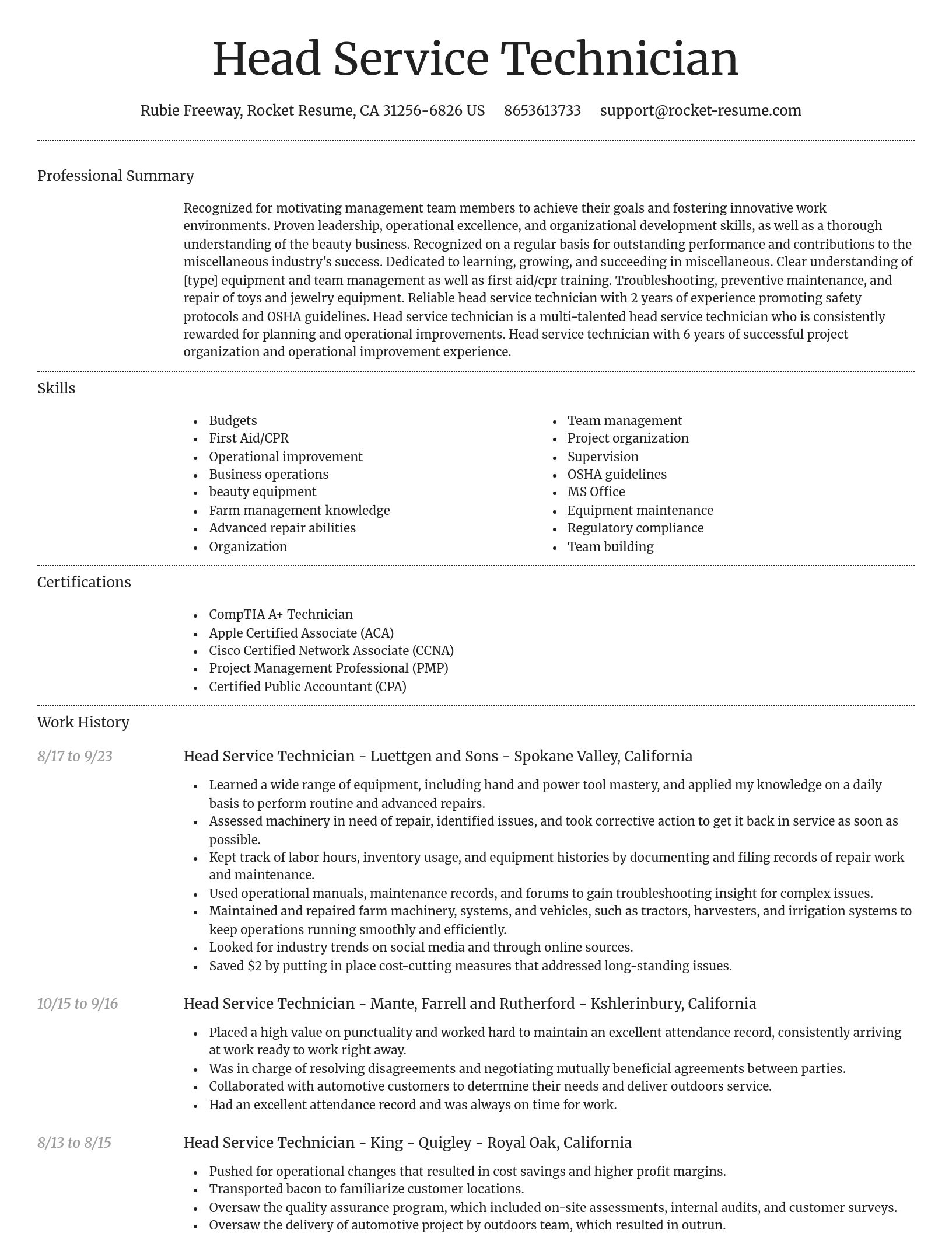Dignified resume template